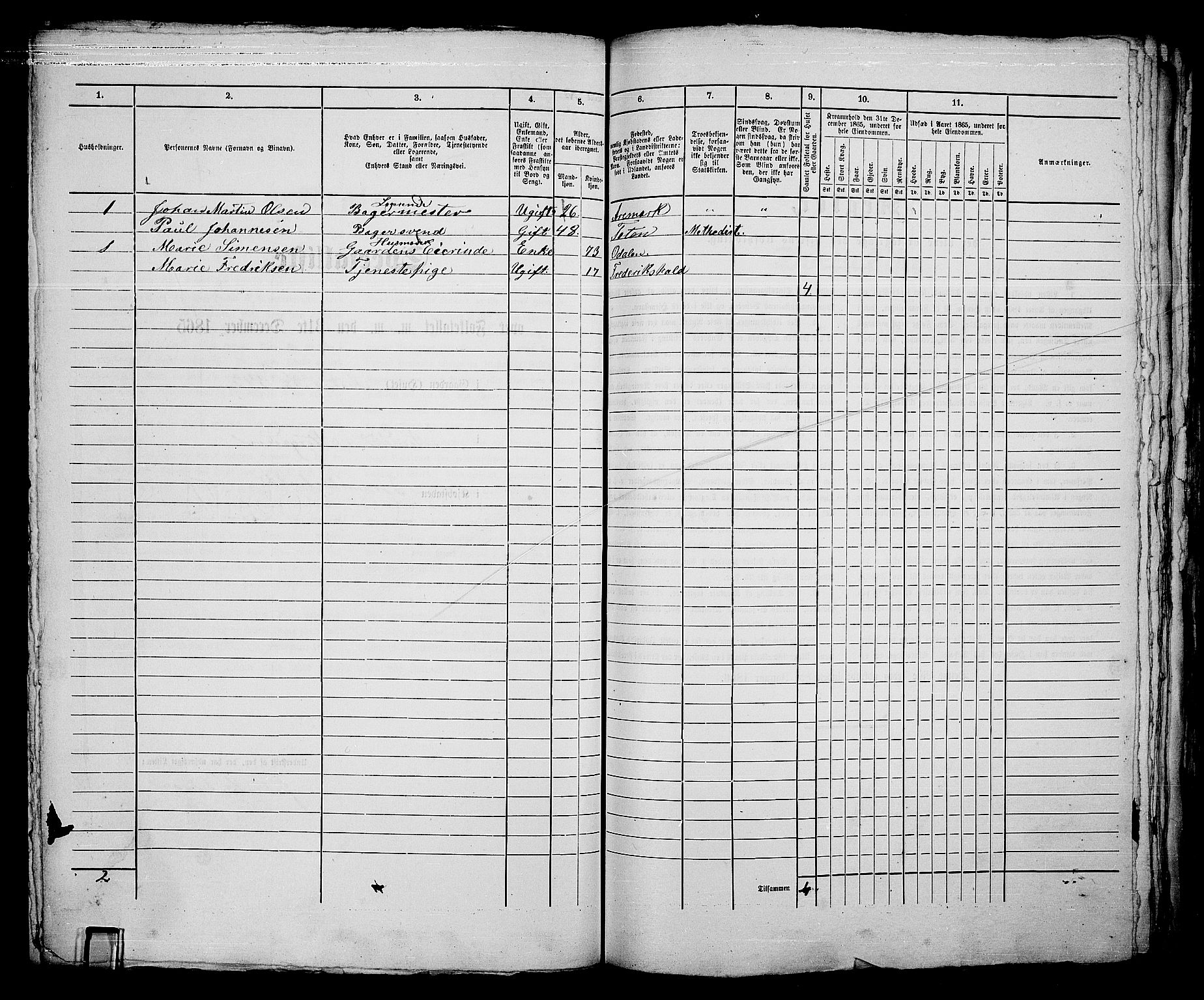 RA, 1865 census for Fredrikshald, 1865, p. 669