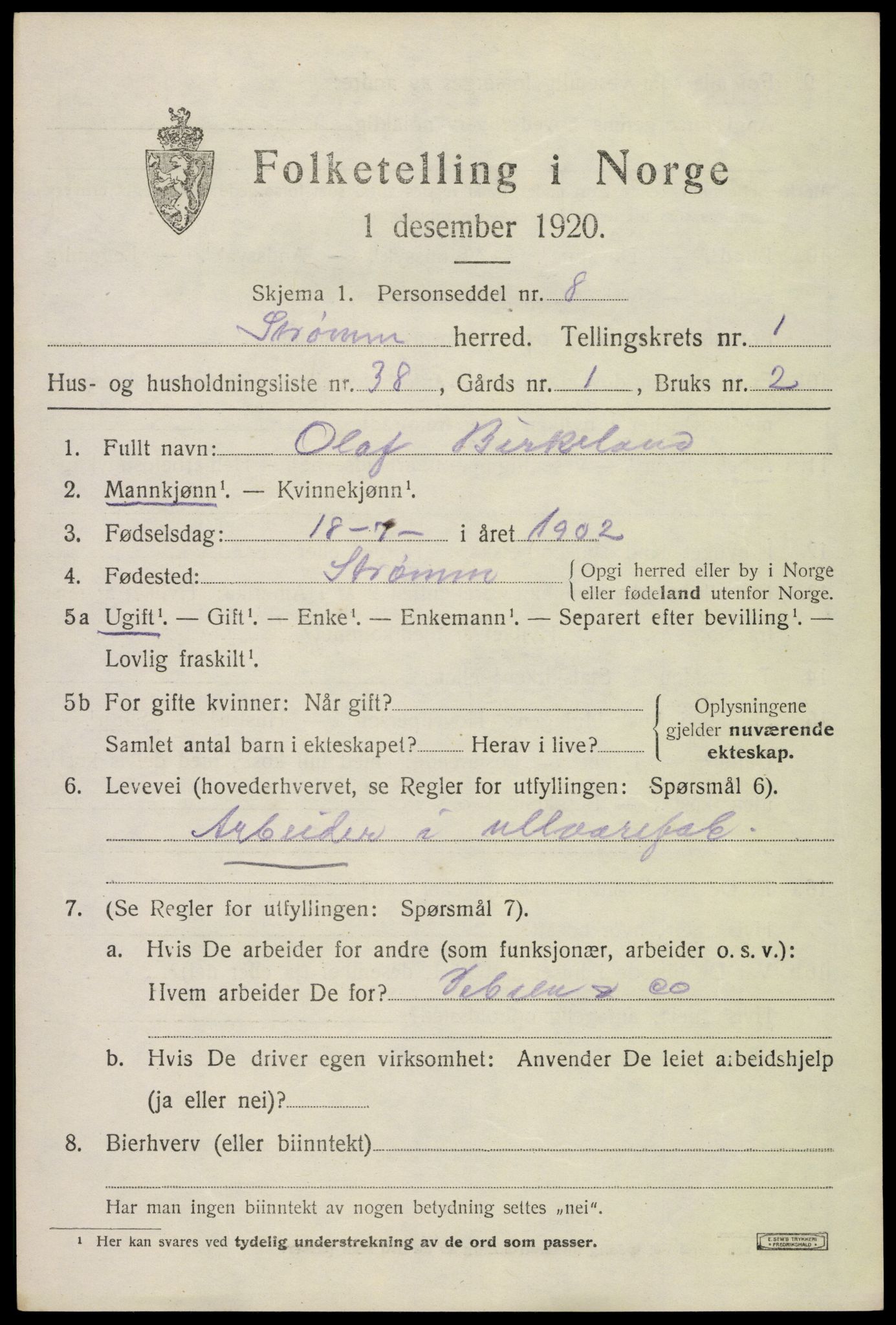 SAKO, 1920 census for Strømm, 1920, p. 1169