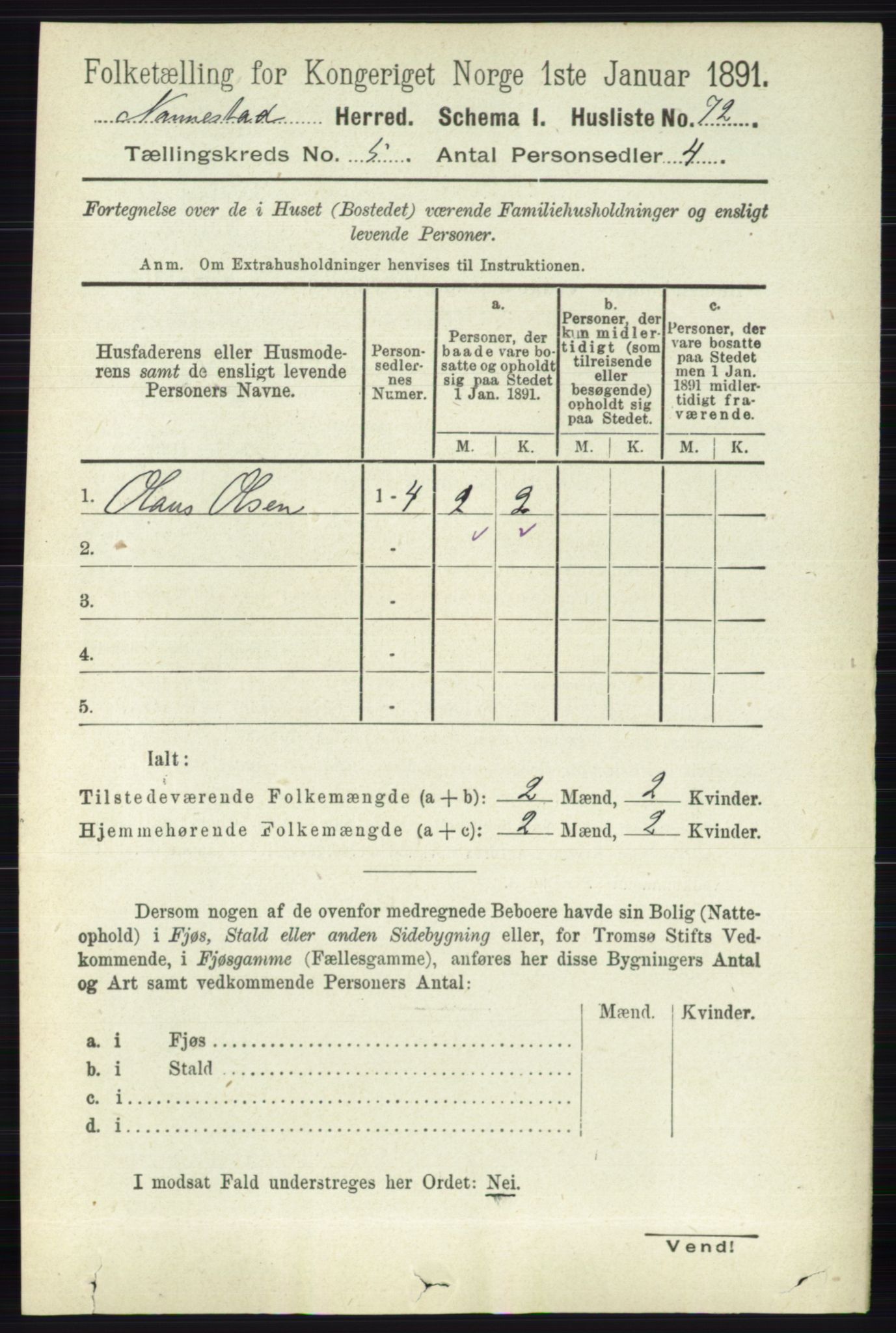 RA, 1891 census for 0238 Nannestad, 1891, p. 2595