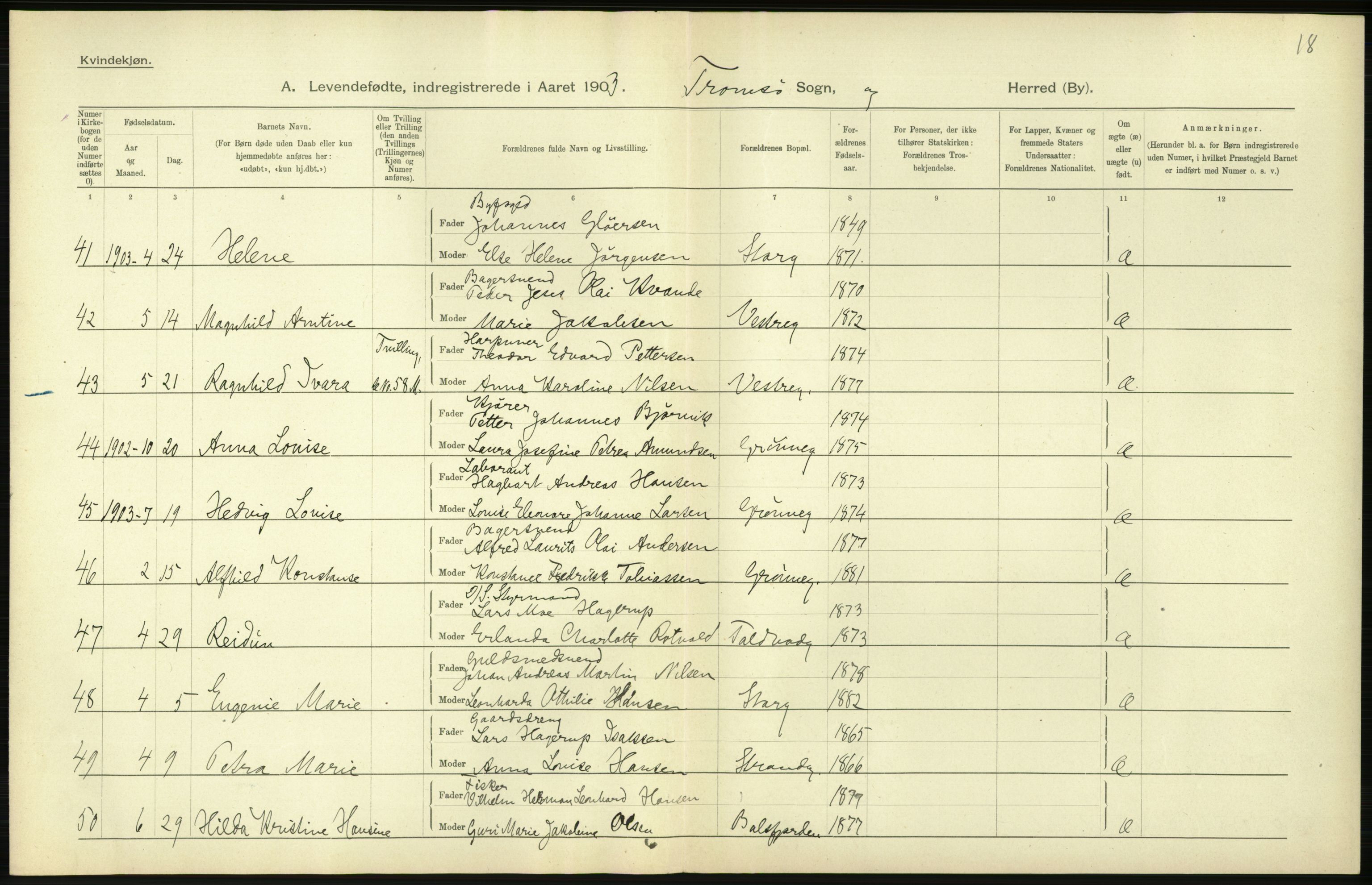 Statistisk sentralbyrå, Sosiodemografiske emner, Befolkning, AV/RA-S-2228/D/Df/Dfa/Dfaa/L0021: Tromsø amt: Fødte, gifte, døde., 1903, p. 290