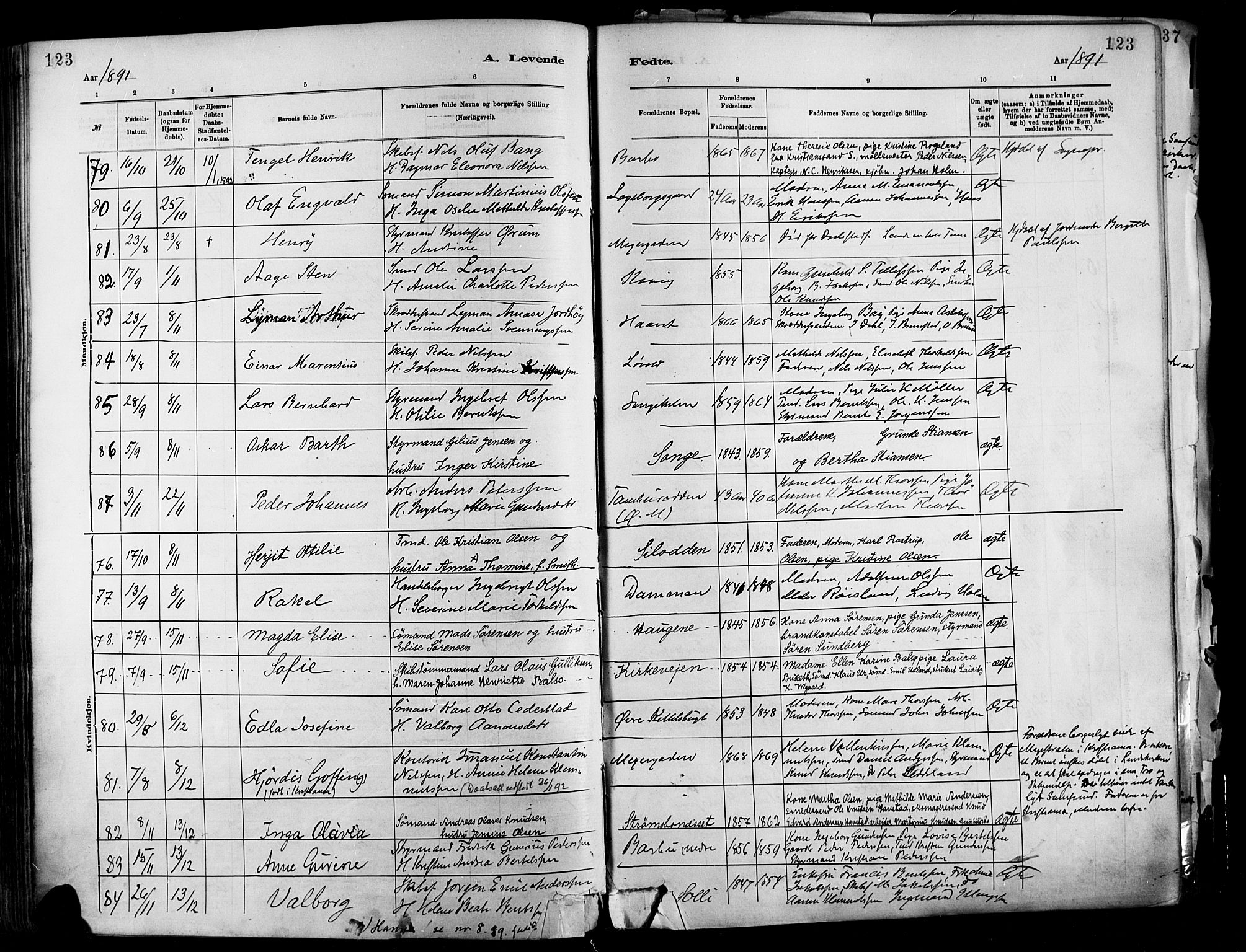 Barbu sokneprestkontor, AV/SAK-1111-0003/F/Fa/L0002: Parish register (official) no. A 2, 1883-1898, p. 123