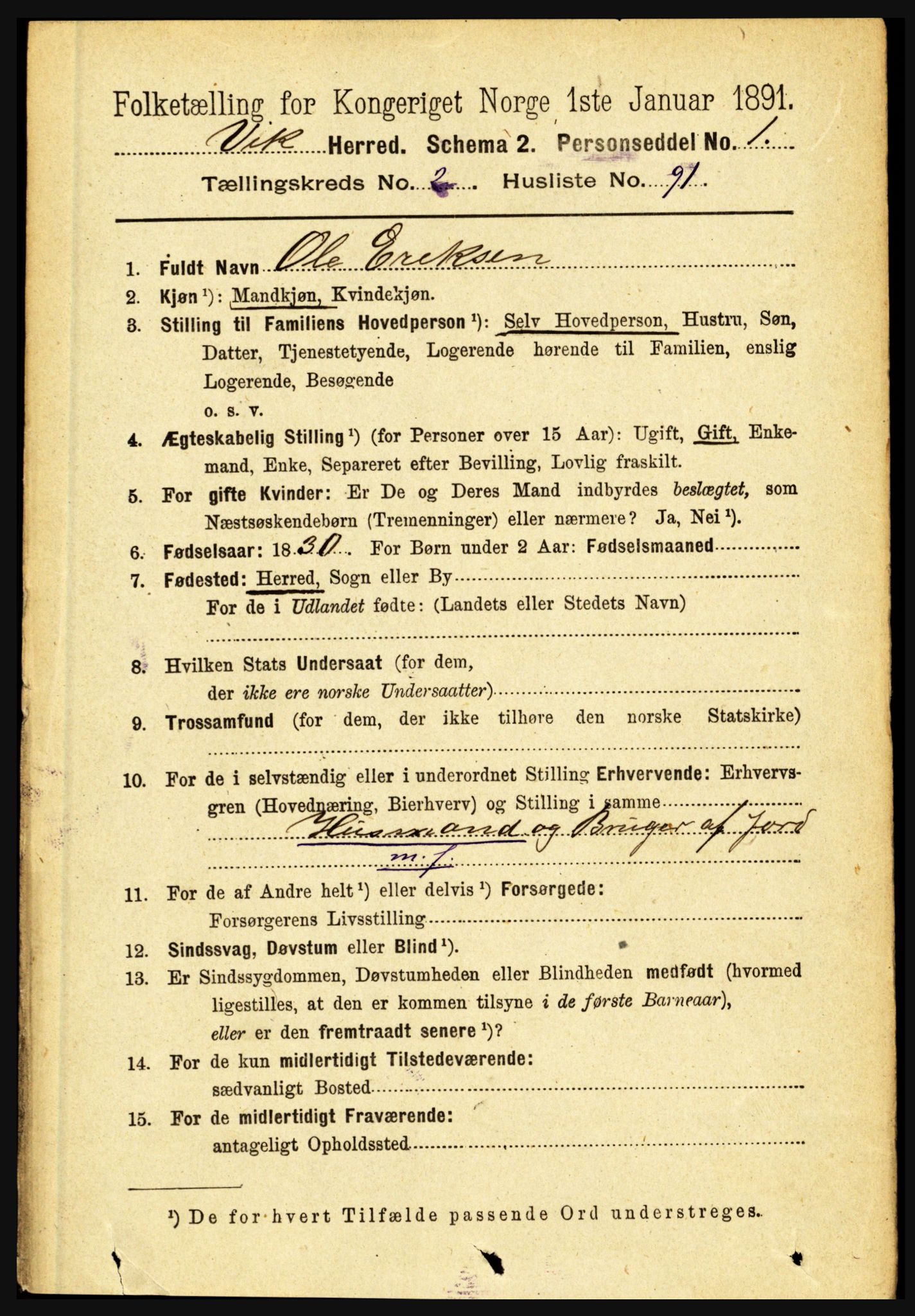 RA, 1891 census for 1417 Vik, 1891, p. 1249