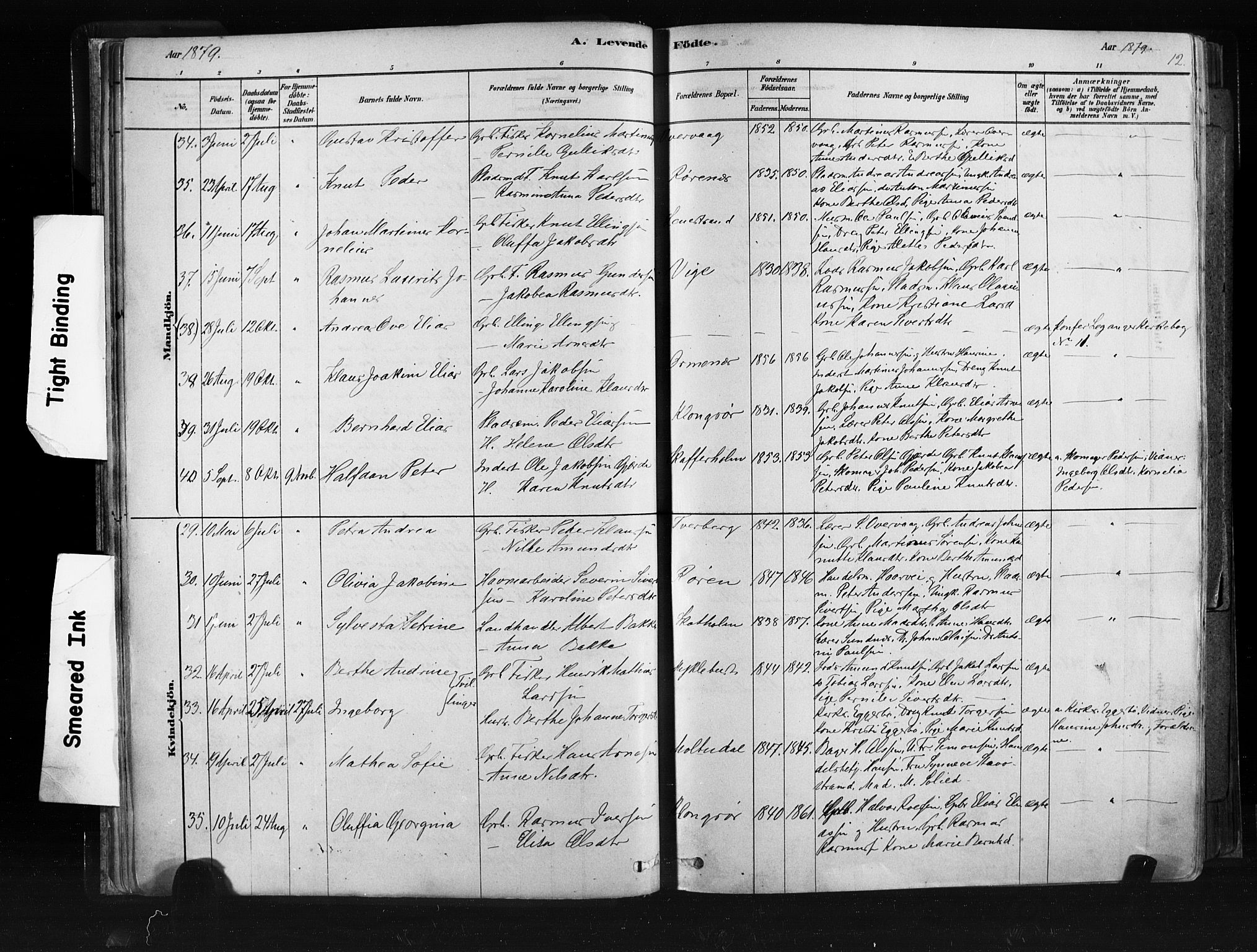 Ministerialprotokoller, klokkerbøker og fødselsregistre - Møre og Romsdal, AV/SAT-A-1454/507/L0073: Parish register (official) no. 507A08, 1878-1904, p. 12