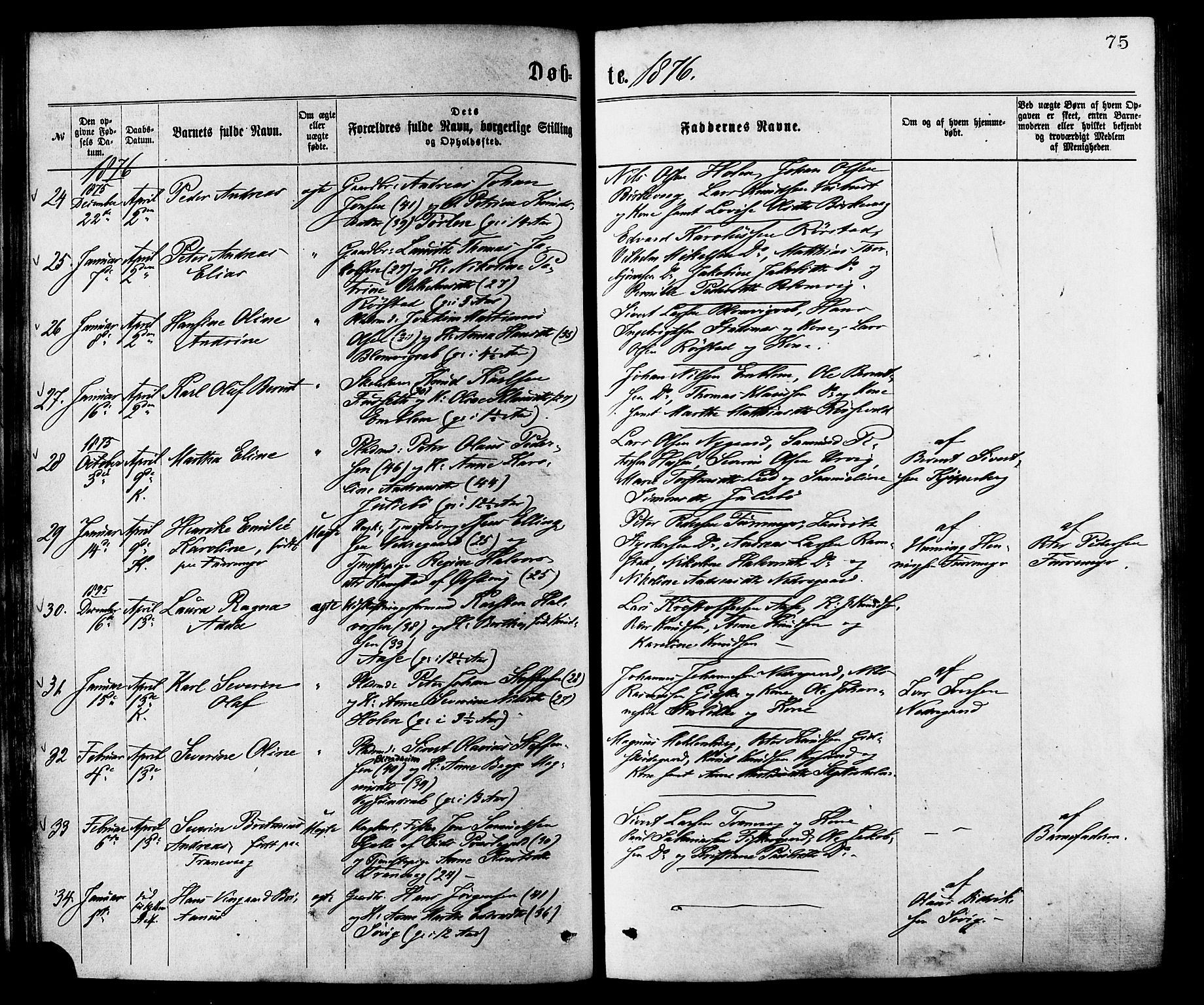 Ministerialprotokoller, klokkerbøker og fødselsregistre - Møre og Romsdal, AV/SAT-A-1454/528/L0400: Parish register (official) no. 528A11, 1871-1879, p. 75