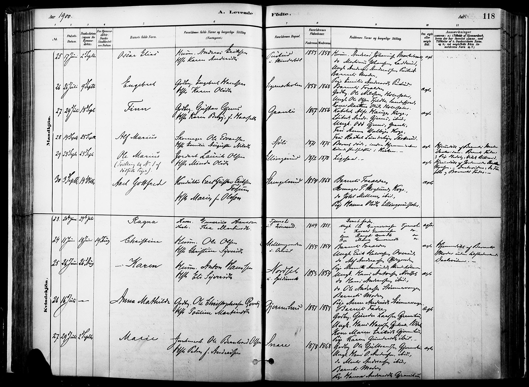 Vinger prestekontor, AV/SAH-PREST-024/H/Ha/Haa/L0014: Parish register (official) no. 14, 1881-1900, p. 118