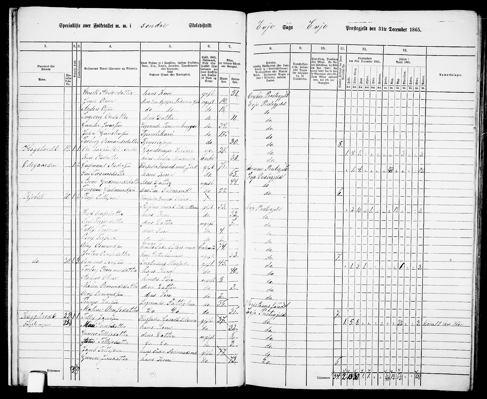 RA, 1865 census for Evje, 1865, p. 14