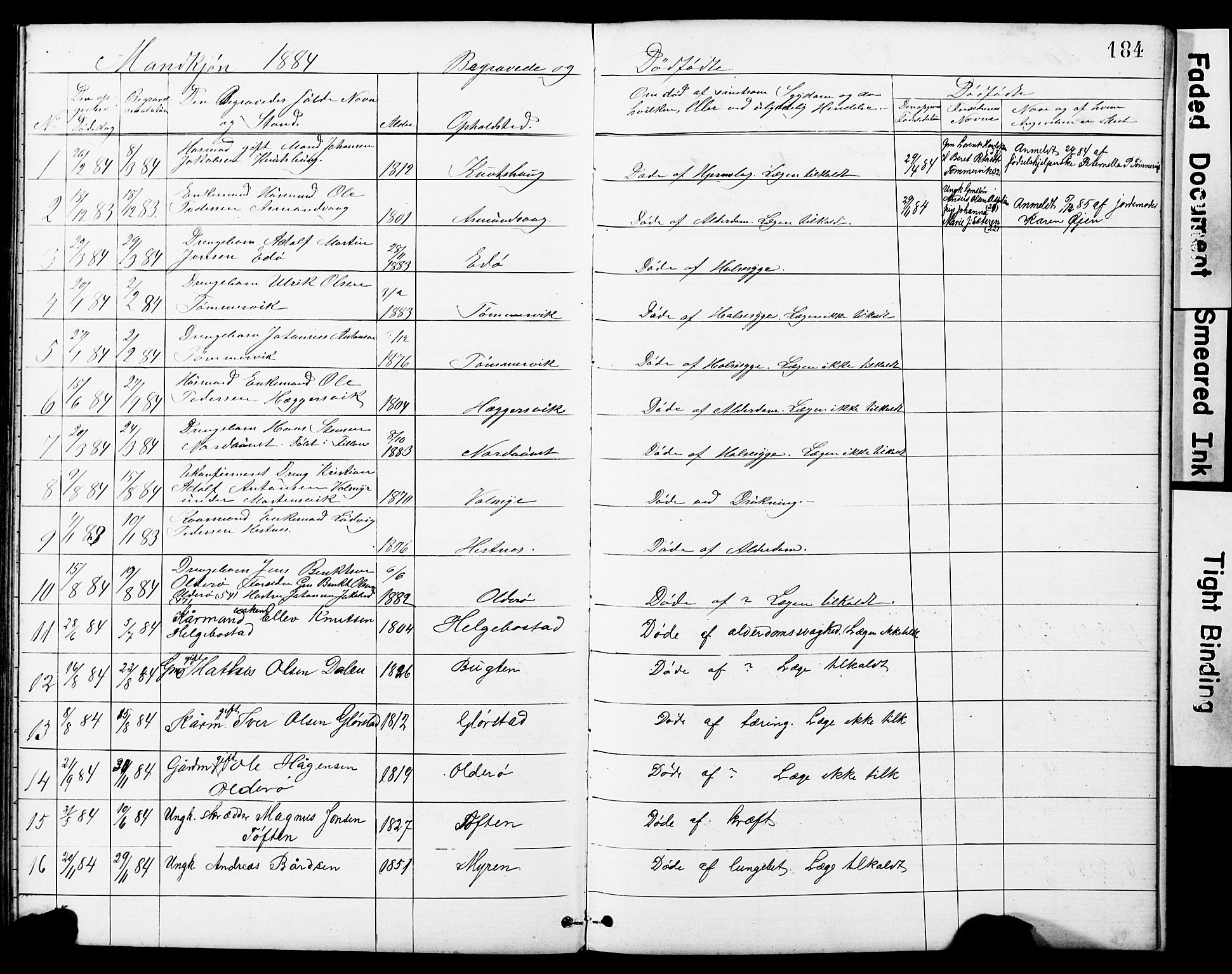 Ministerialprotokoller, klokkerbøker og fødselsregistre - Sør-Trøndelag, SAT/A-1456/634/L0541: Parish register (copy) no. 634C03, 1874-1891, p. 184