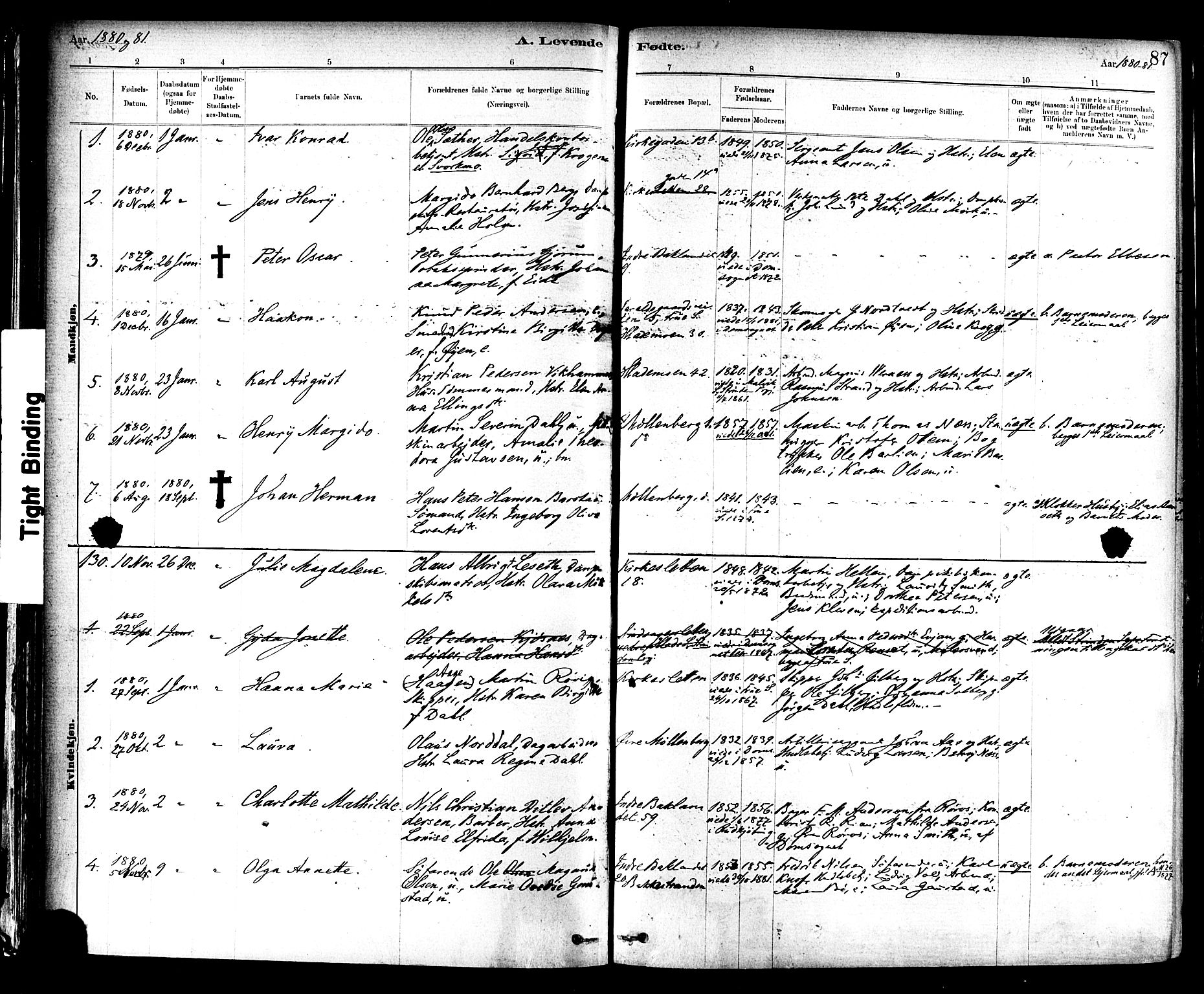 Ministerialprotokoller, klokkerbøker og fødselsregistre - Sør-Trøndelag, SAT/A-1456/604/L0188: Parish register (official) no. 604A09, 1878-1892, p. 87