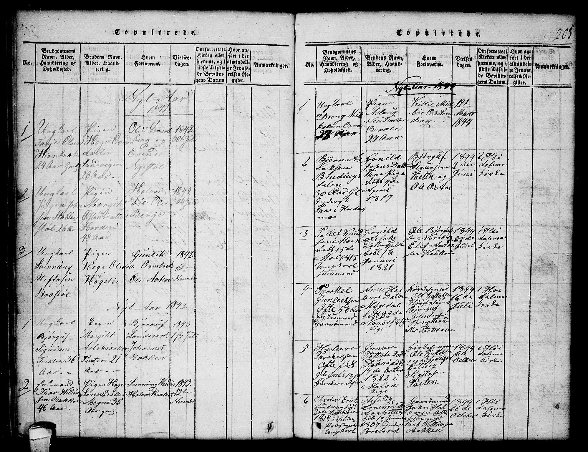 Lårdal kirkebøker, SAKO/A-284/G/Gc/L0001: Parish register (copy) no. III 1, 1815-1854, p. 205