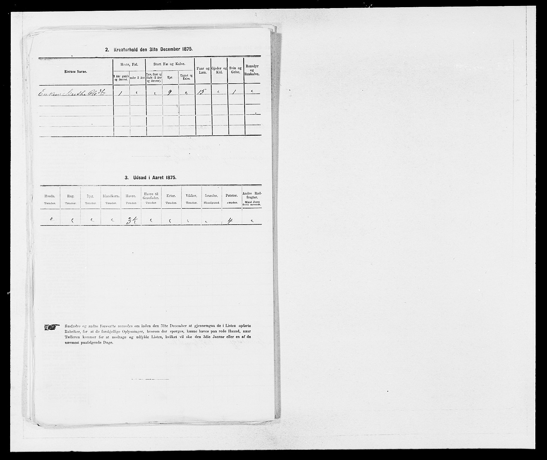 SAB, 1875 census for 1250P Haus, 1875, p. 984