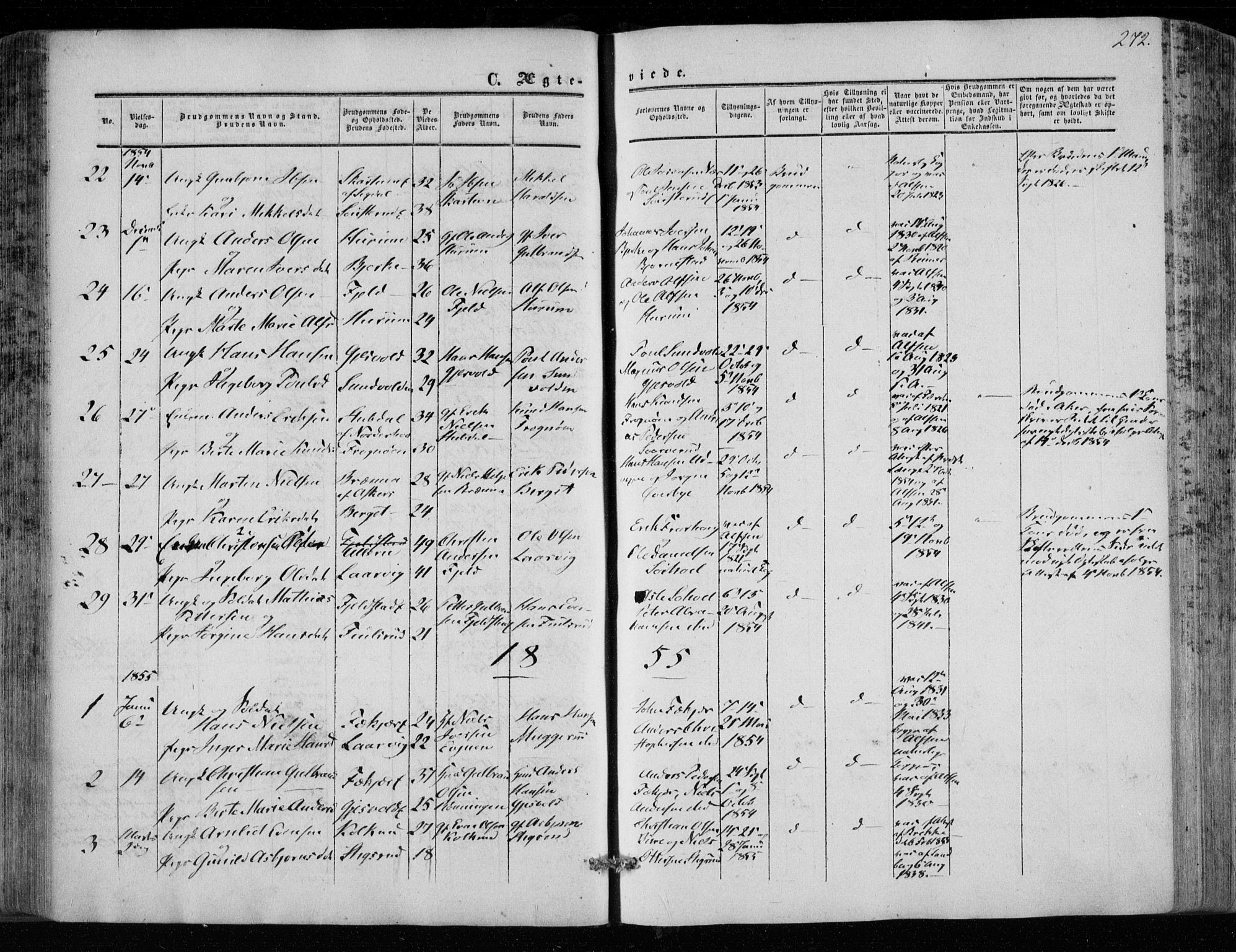 Hole kirkebøker, SAKO/A-228/F/Fa/L0006: Parish register (official) no. I 6, 1852-1872, p. 272