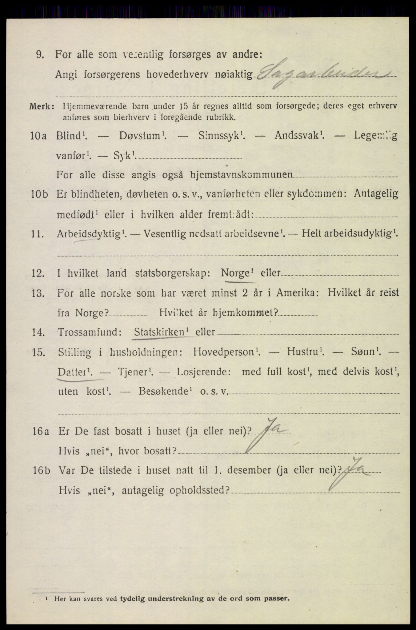 SAH, 1920 census for Furnes, 1920, p. 3428