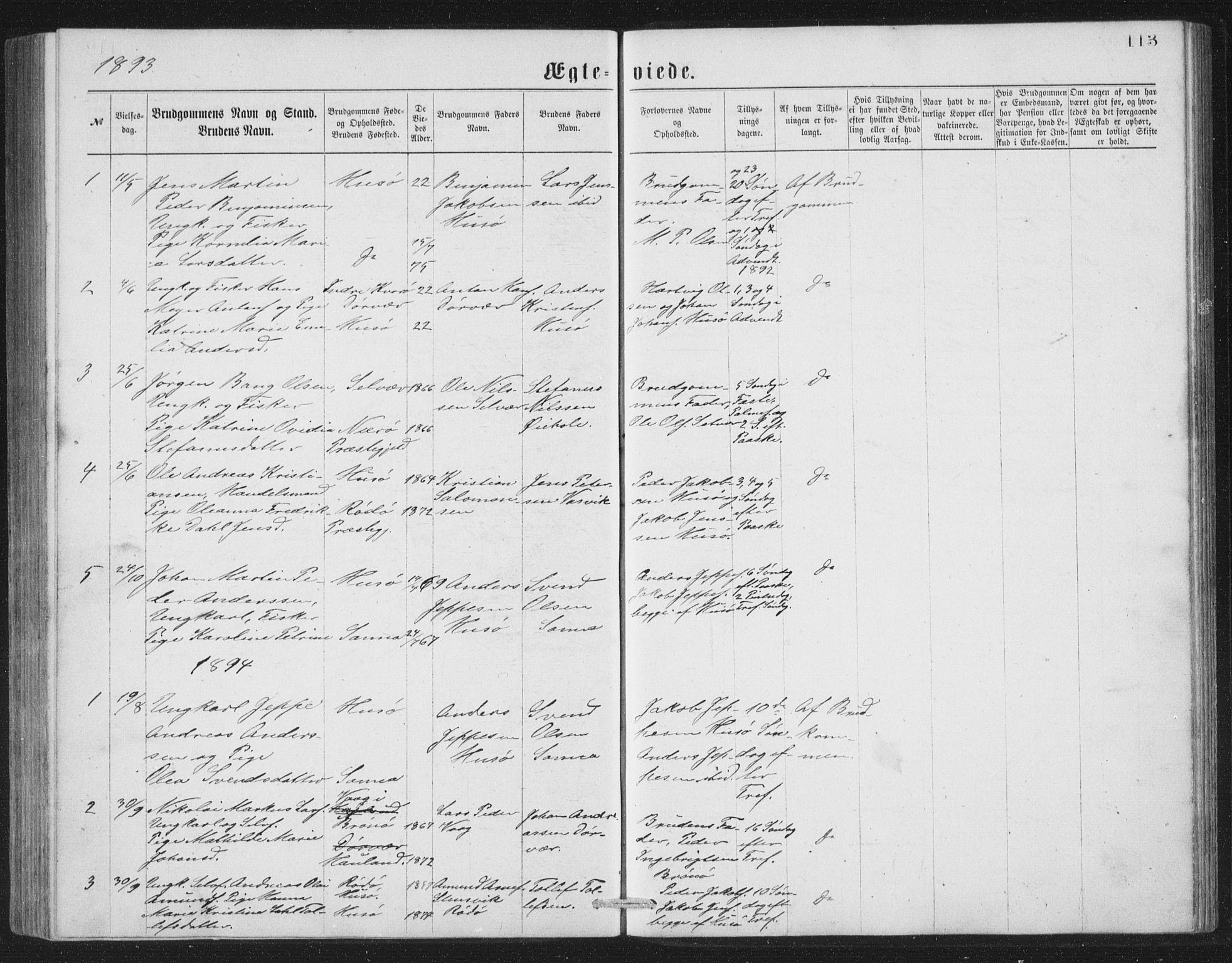 Ministerialprotokoller, klokkerbøker og fødselsregistre - Nordland, AV/SAT-A-1459/840/L0582: Parish register (copy) no. 840C02, 1874-1900, p. 113