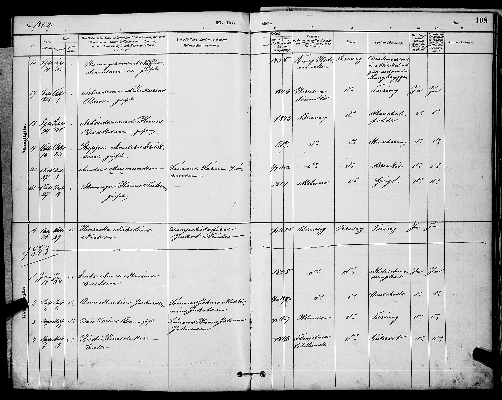 Brevik kirkebøker, SAKO/A-255/G/Ga/L0004: Parish register (copy) no. 4, 1882-1900, p. 198