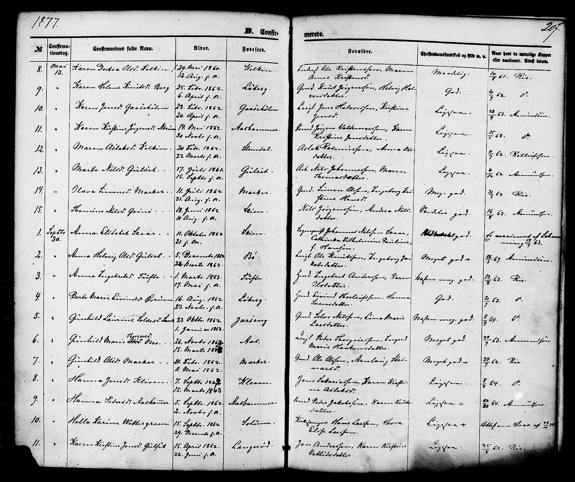 Gjerpen kirkebøker, AV/SAKO-A-265/F/Fa/L0009: Parish register (official) no. I 9, 1872-1885, p. 207