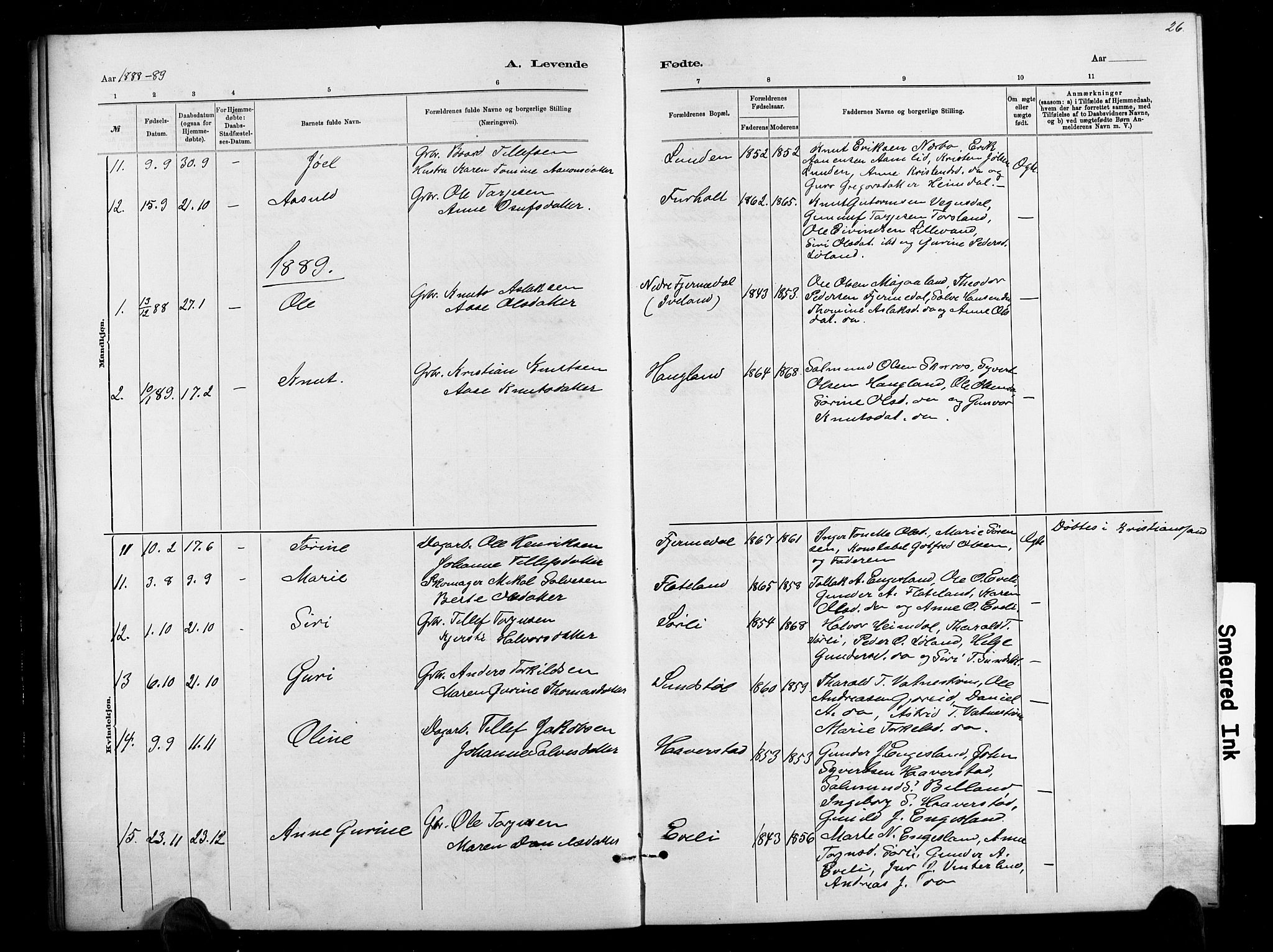 Herefoss sokneprestkontor, SAK/1111-0019/F/Fb/Fbb/L0002: Parish register (copy) no. B 2, 1879-1894, p. 26