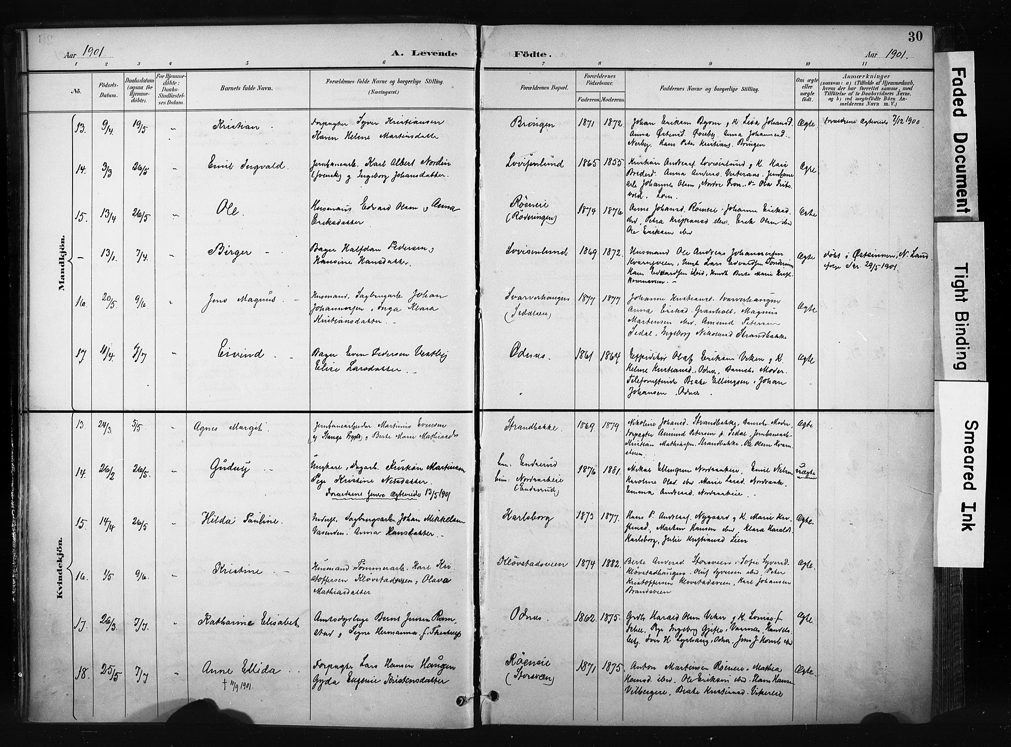 Søndre Land prestekontor, AV/SAH-PREST-122/K/L0004: Parish register (official) no. 4, 1895-1904, p. 30