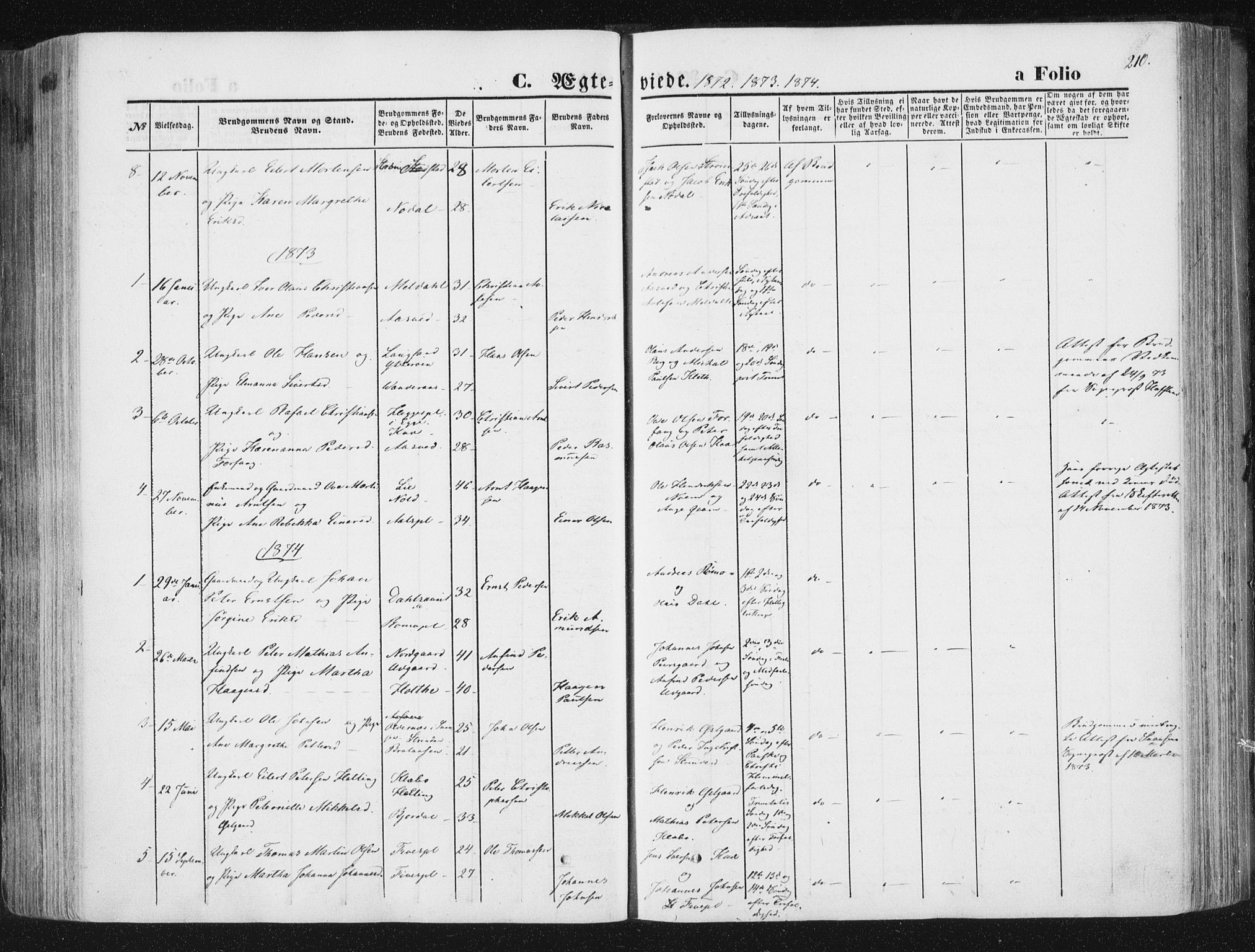 Ministerialprotokoller, klokkerbøker og fødselsregistre - Nord-Trøndelag, SAT/A-1458/746/L0447: Parish register (official) no. 746A06, 1860-1877, p. 210