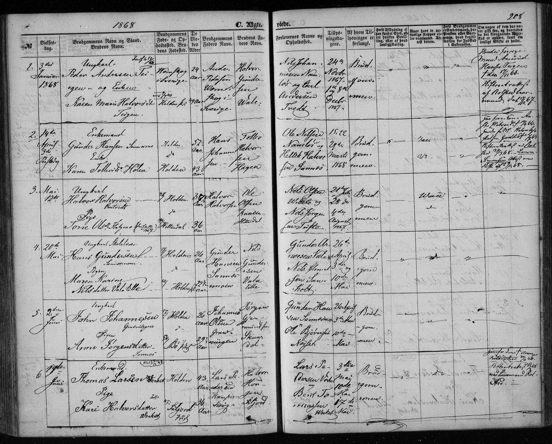 Holla kirkebøker, AV/SAKO-A-272/F/Fa/L0006: Parish register (official) no. 6, 1861-1869, p. 208