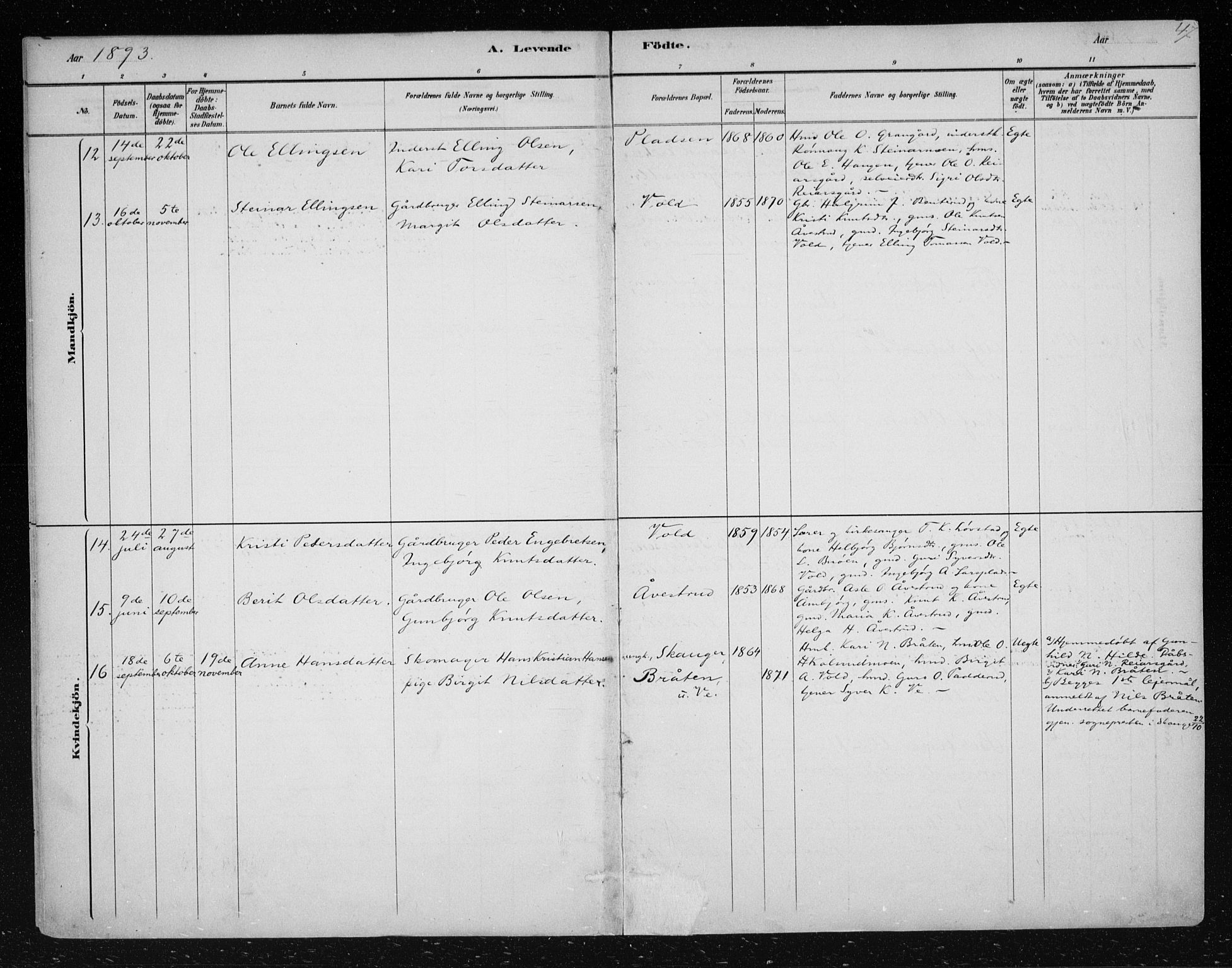 Nes kirkebøker, AV/SAKO-A-236/F/Fa/L0012: Parish register (official) no. 12, 1881-1917, p. 47
