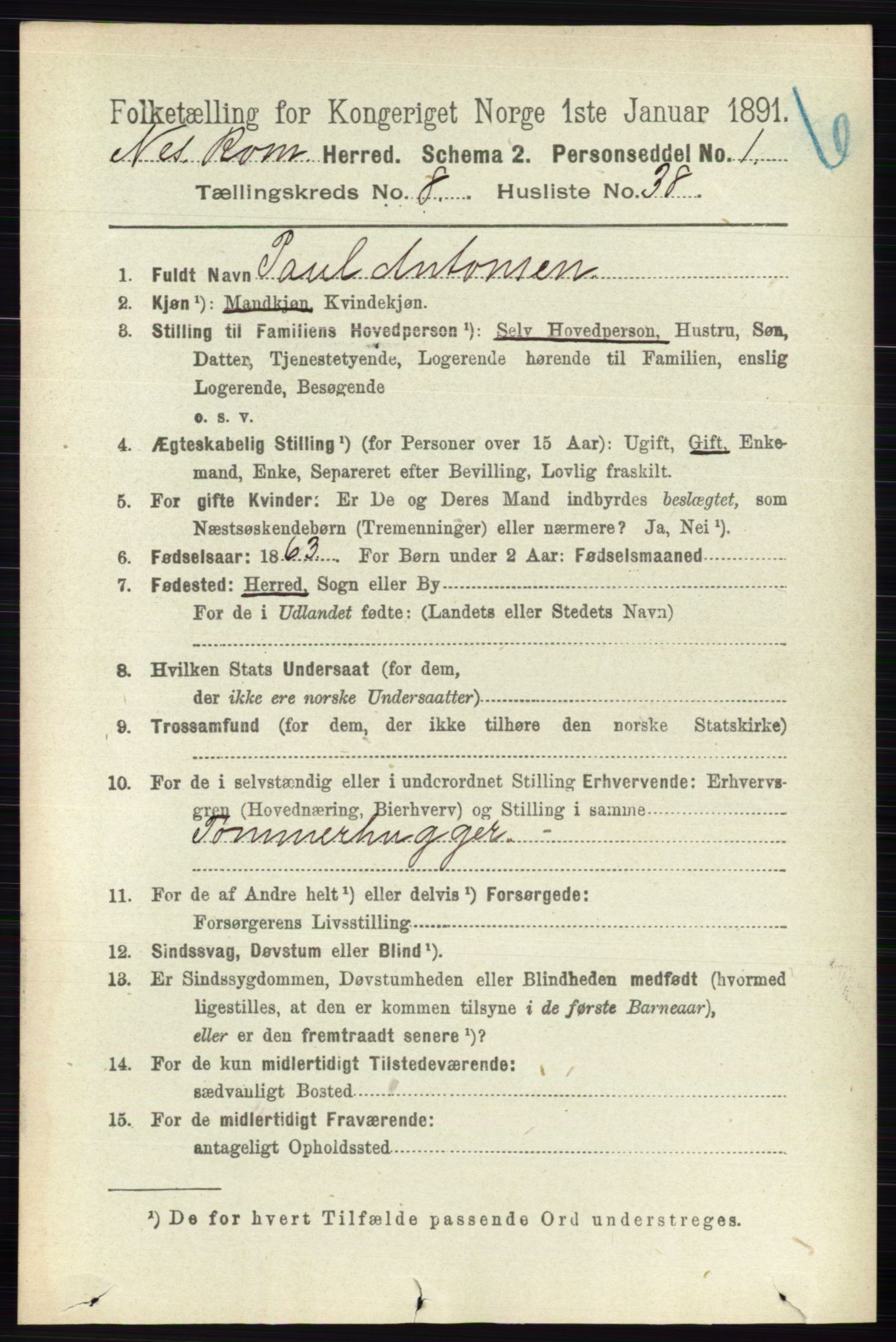 RA, 1891 census for 0236 Nes, 1891, p. 4841