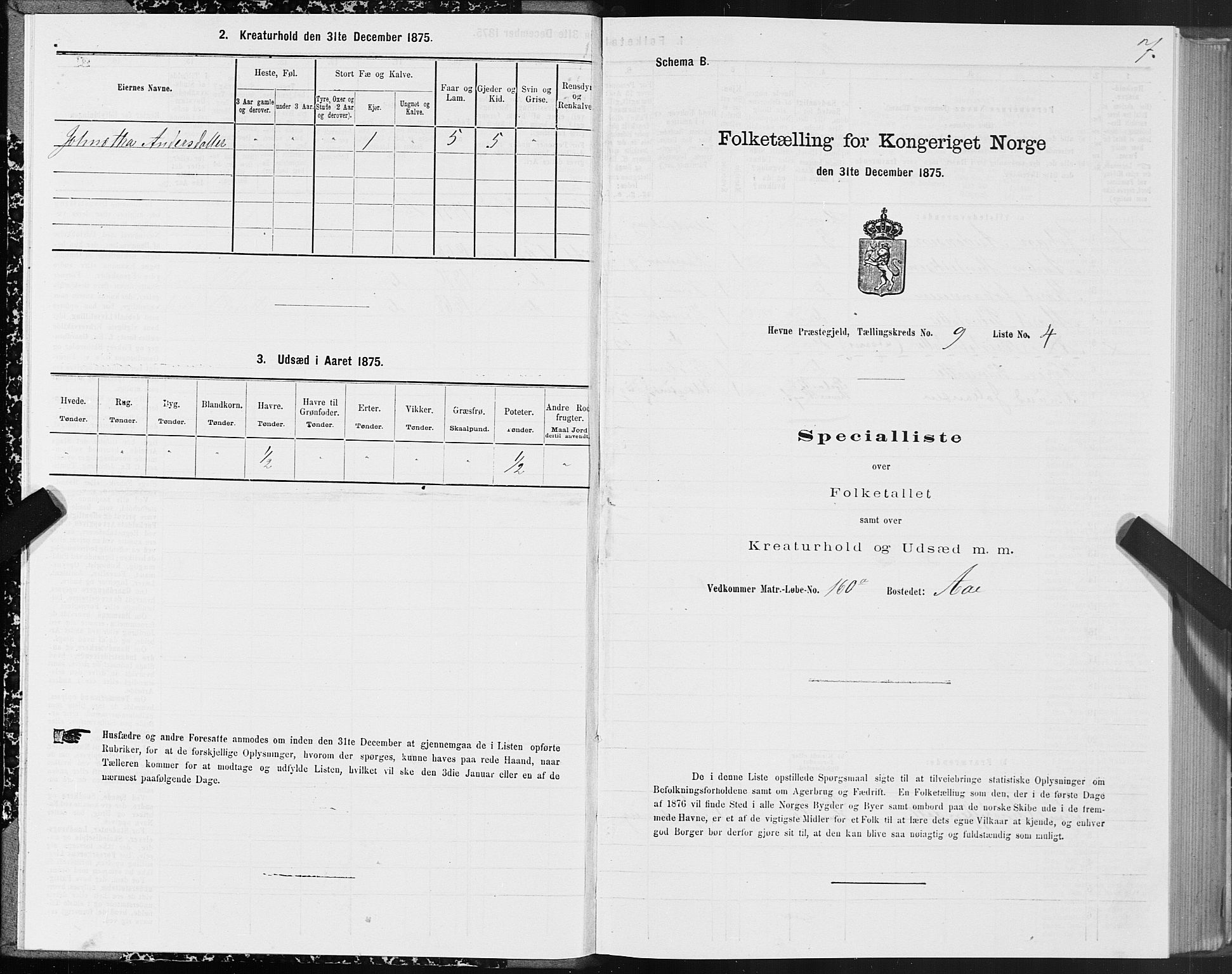 SAT, 1875 census for 1612P Hemne, 1875, p. 5007