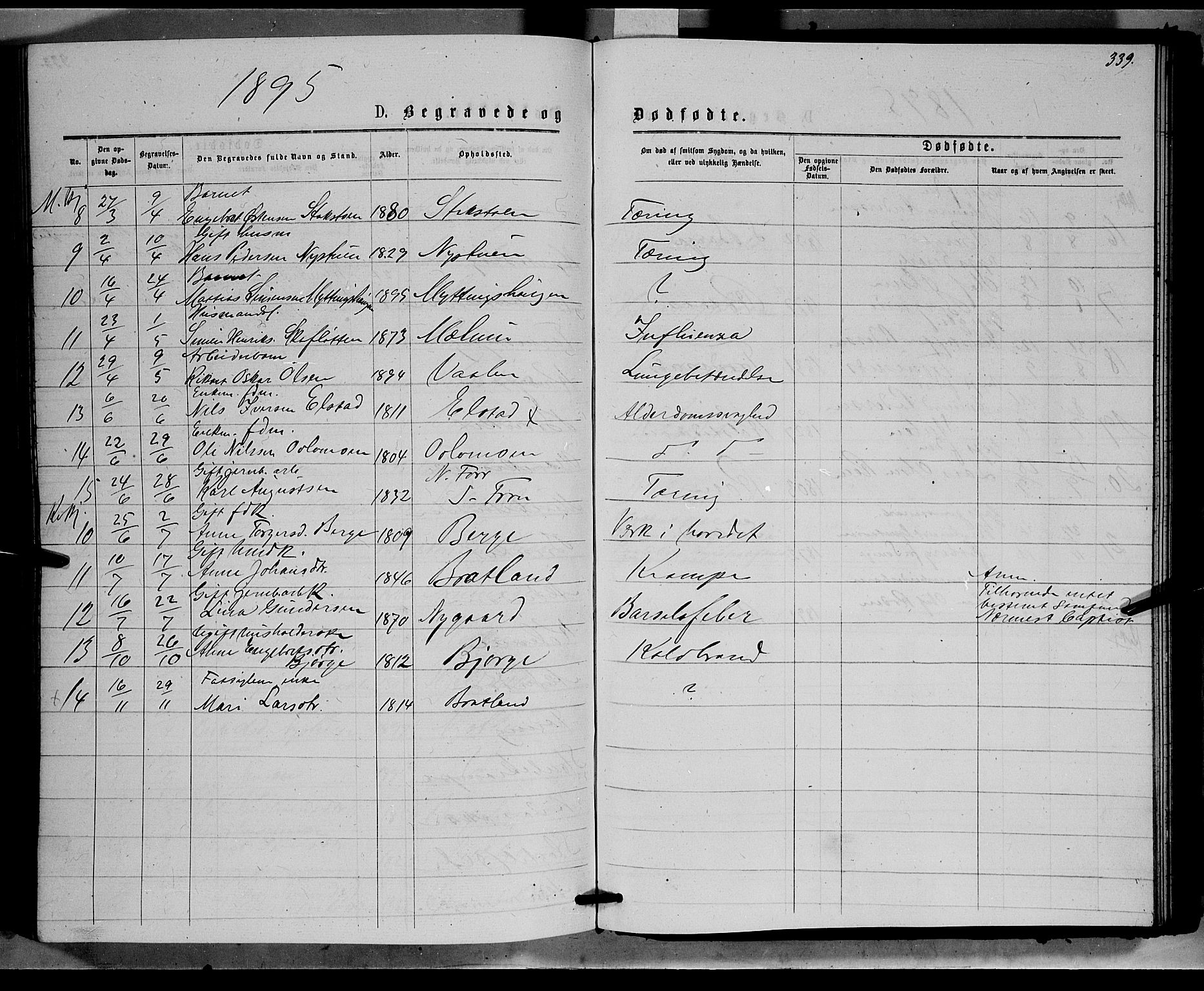 Ringebu prestekontor, SAH/PREST-082/H/Ha/Hab/L0006: Parish register (copy) no. 6, 1880-1898, p. 339