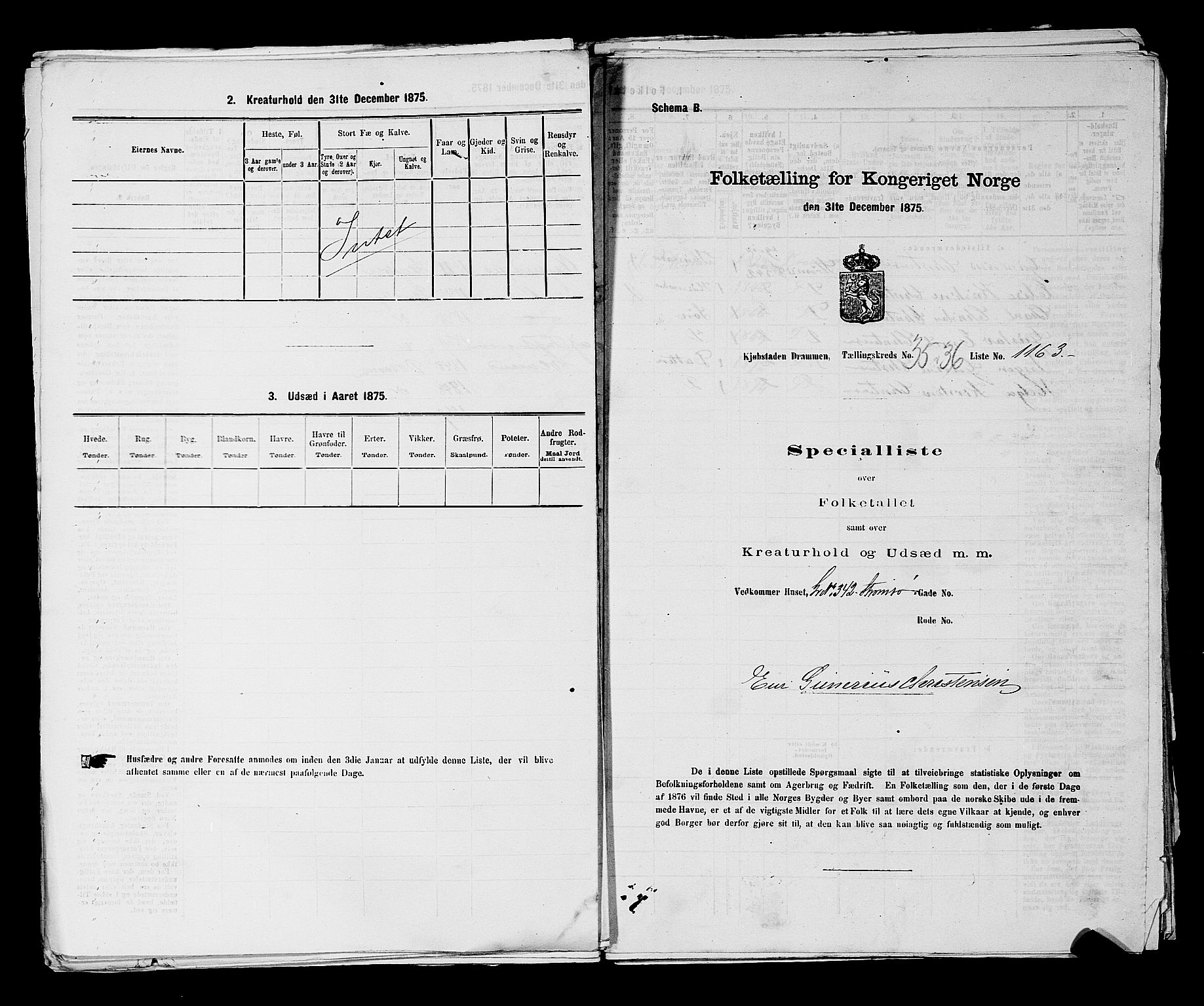 SAKO, 1875 census for 0602 Drammen, 1875, p. 3081