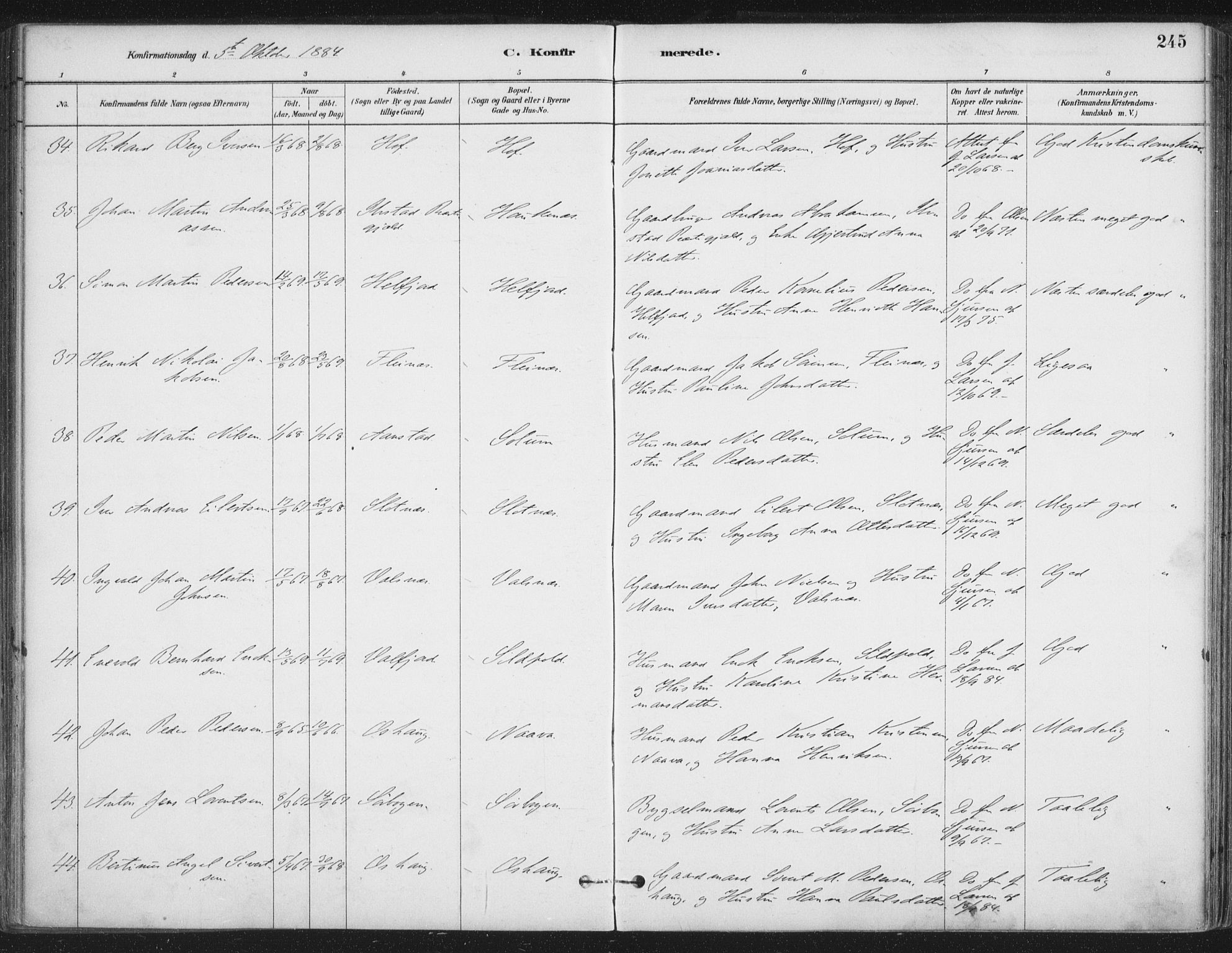 Ministerialprotokoller, klokkerbøker og fødselsregistre - Nordland, AV/SAT-A-1459/888/L1244: Parish register (official) no. 888A10, 1880-1890, p. 245