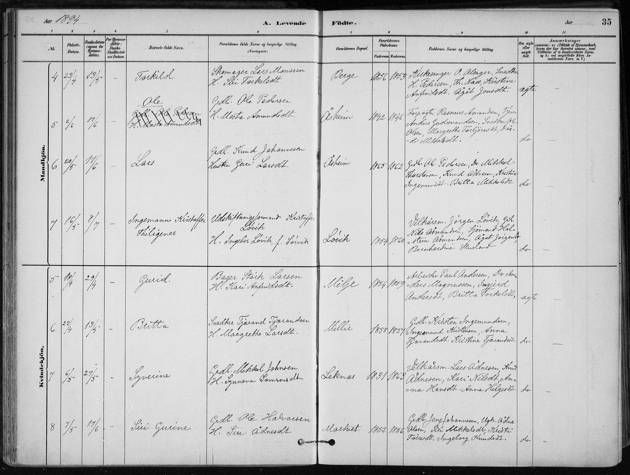 Skånevik sokneprestembete, SAB/A-77801/H/Haa: Parish register (official) no. B 1, 1879-1914, p. 35