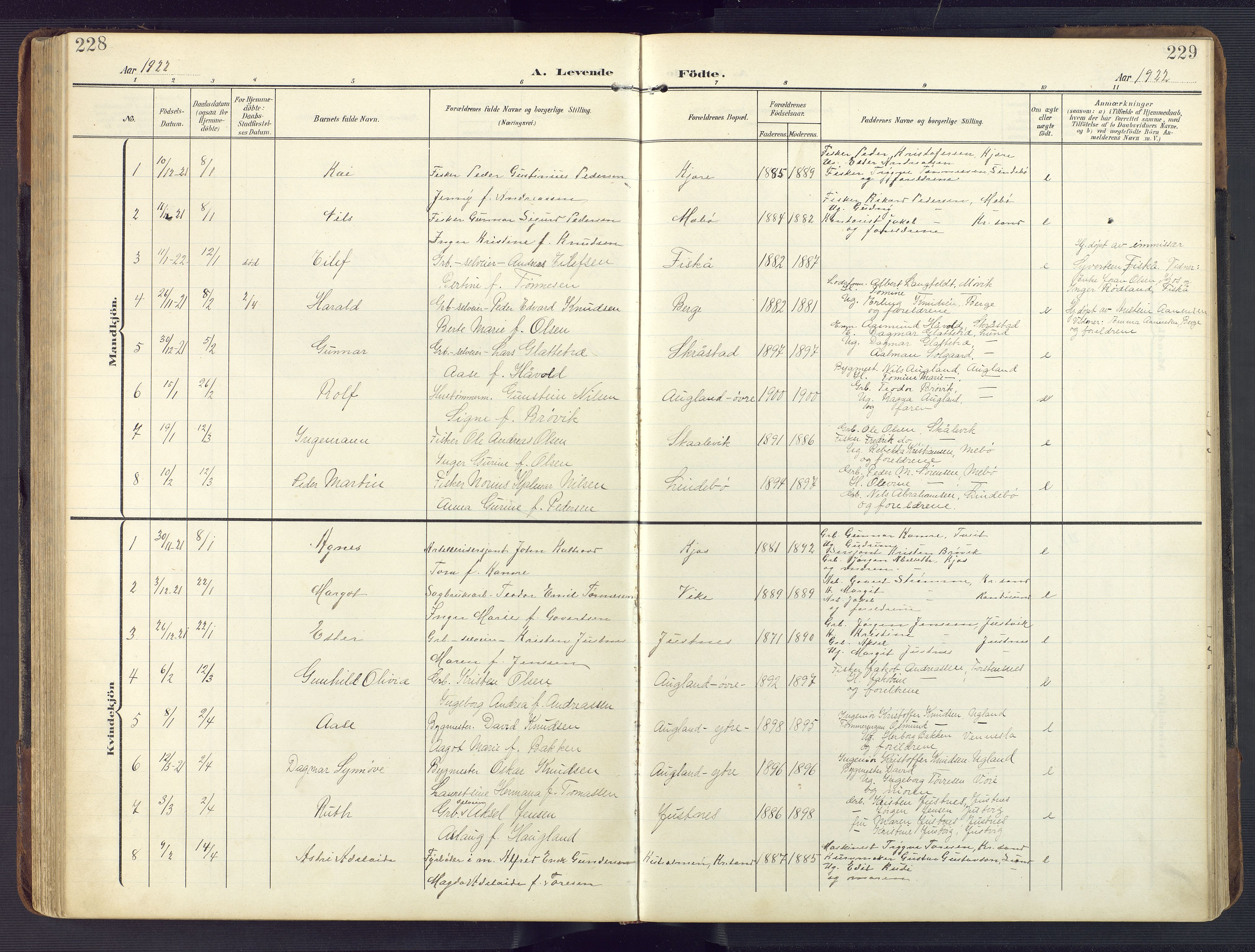 Oddernes sokneprestkontor, AV/SAK-1111-0033/F/Fb/Fba/L0010: Parish register (copy) no. B 10, 1907-1941, p. 228-229