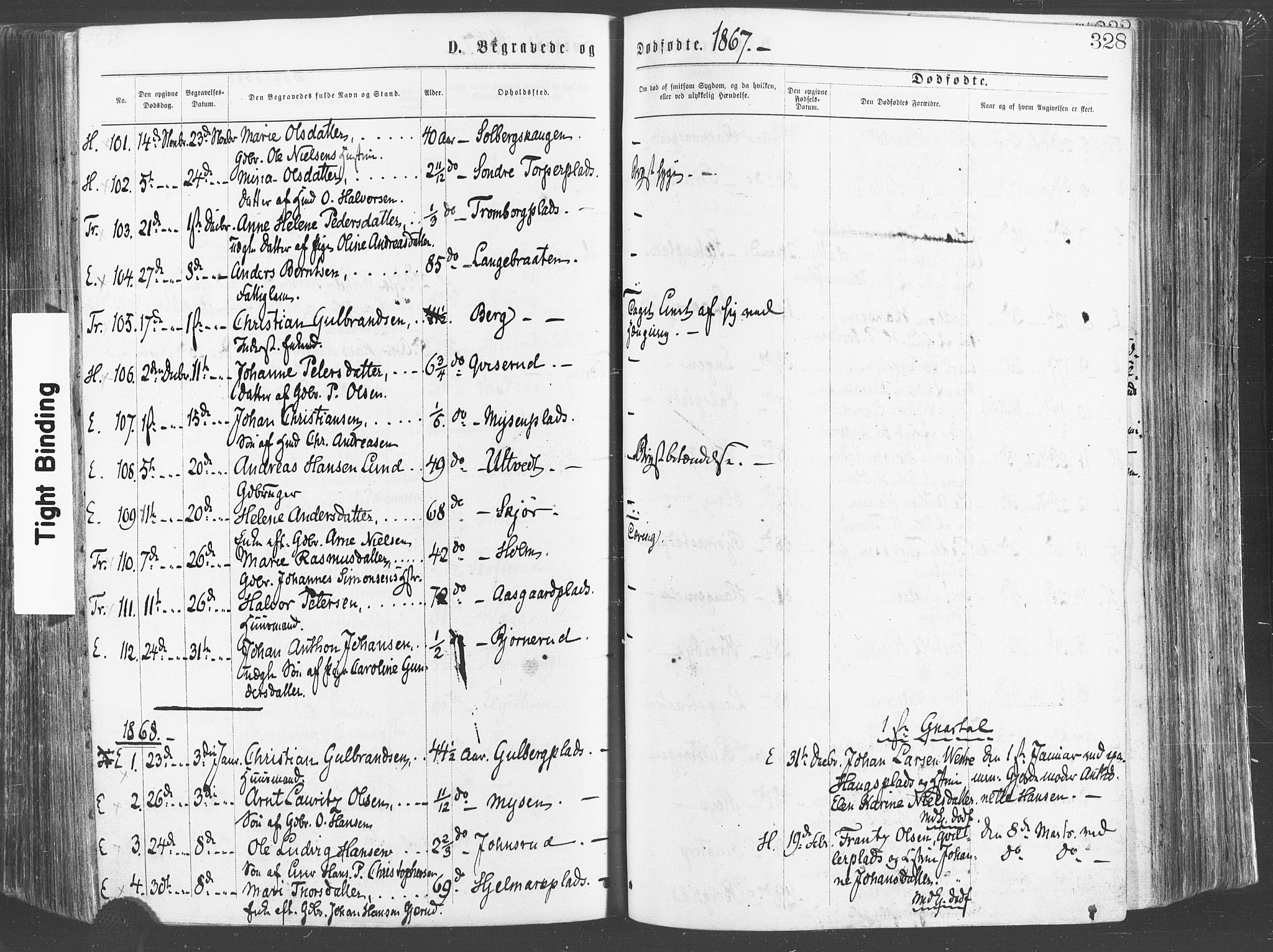 Eidsberg prestekontor Kirkebøker, SAO/A-10905/F/Fa/L0011: Parish register (official) no. I 11, 1867-1878, p. 328