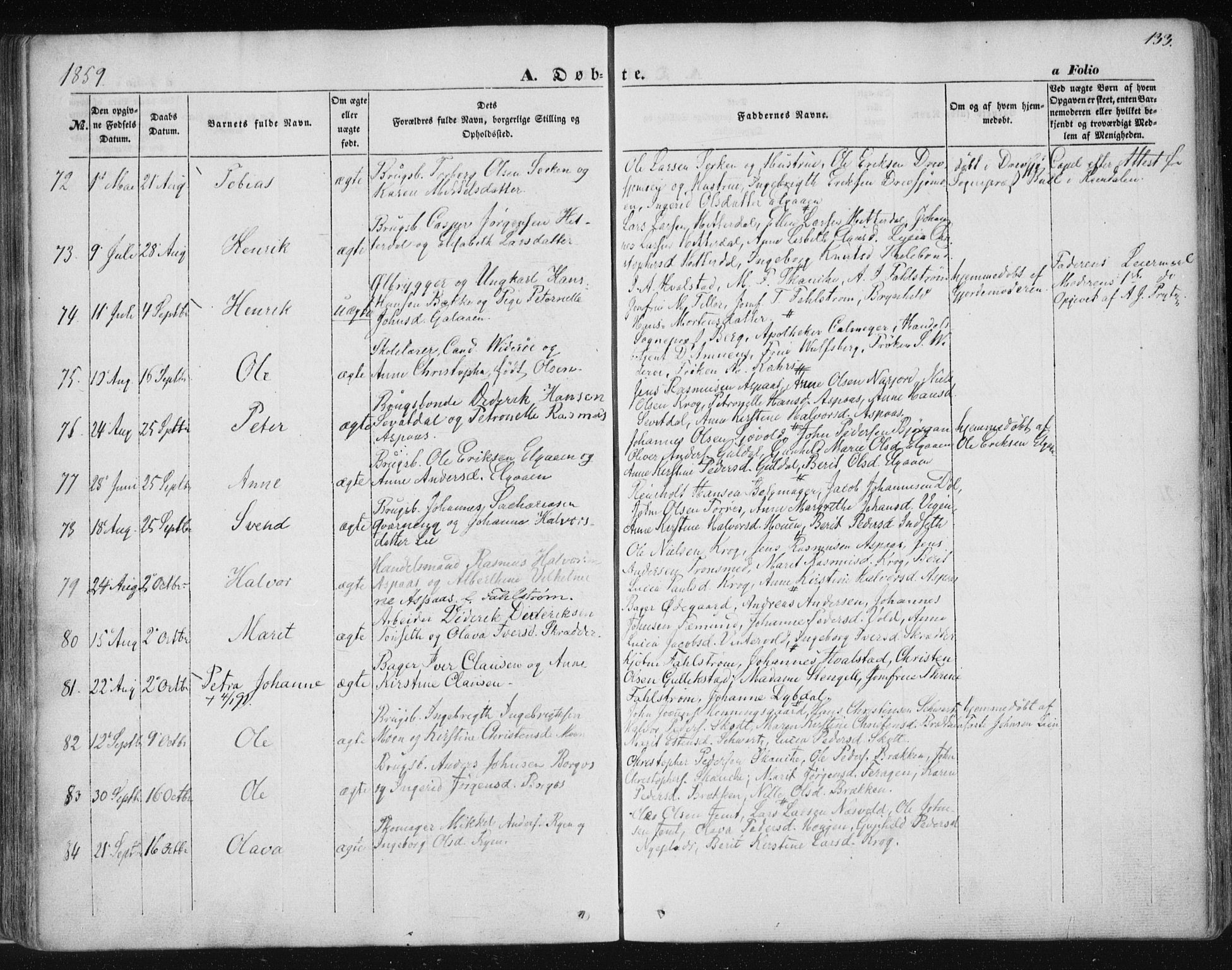 Ministerialprotokoller, klokkerbøker og fødselsregistre - Sør-Trøndelag, AV/SAT-A-1456/681/L0931: Parish register (official) no. 681A09, 1845-1859, p. 133