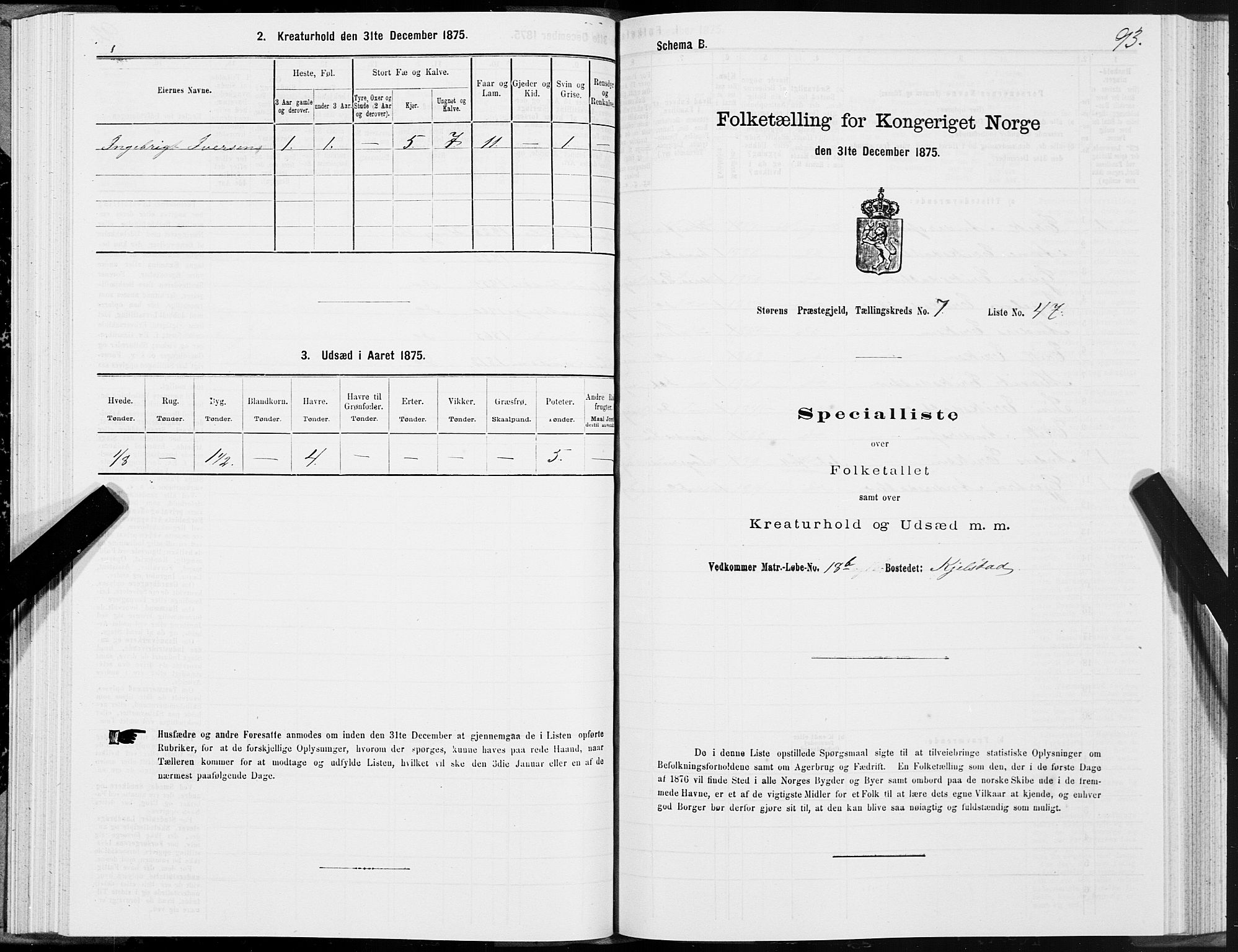 SAT, 1875 census for 1648P Støren, 1875, p. 4093