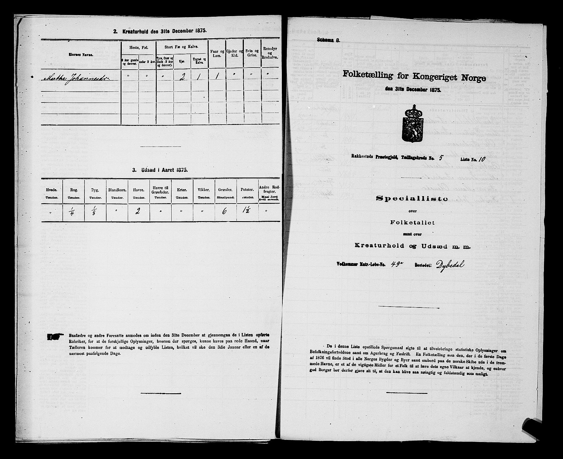 RA, 1875 census for 0128P Rakkestad, 1875, p. 666