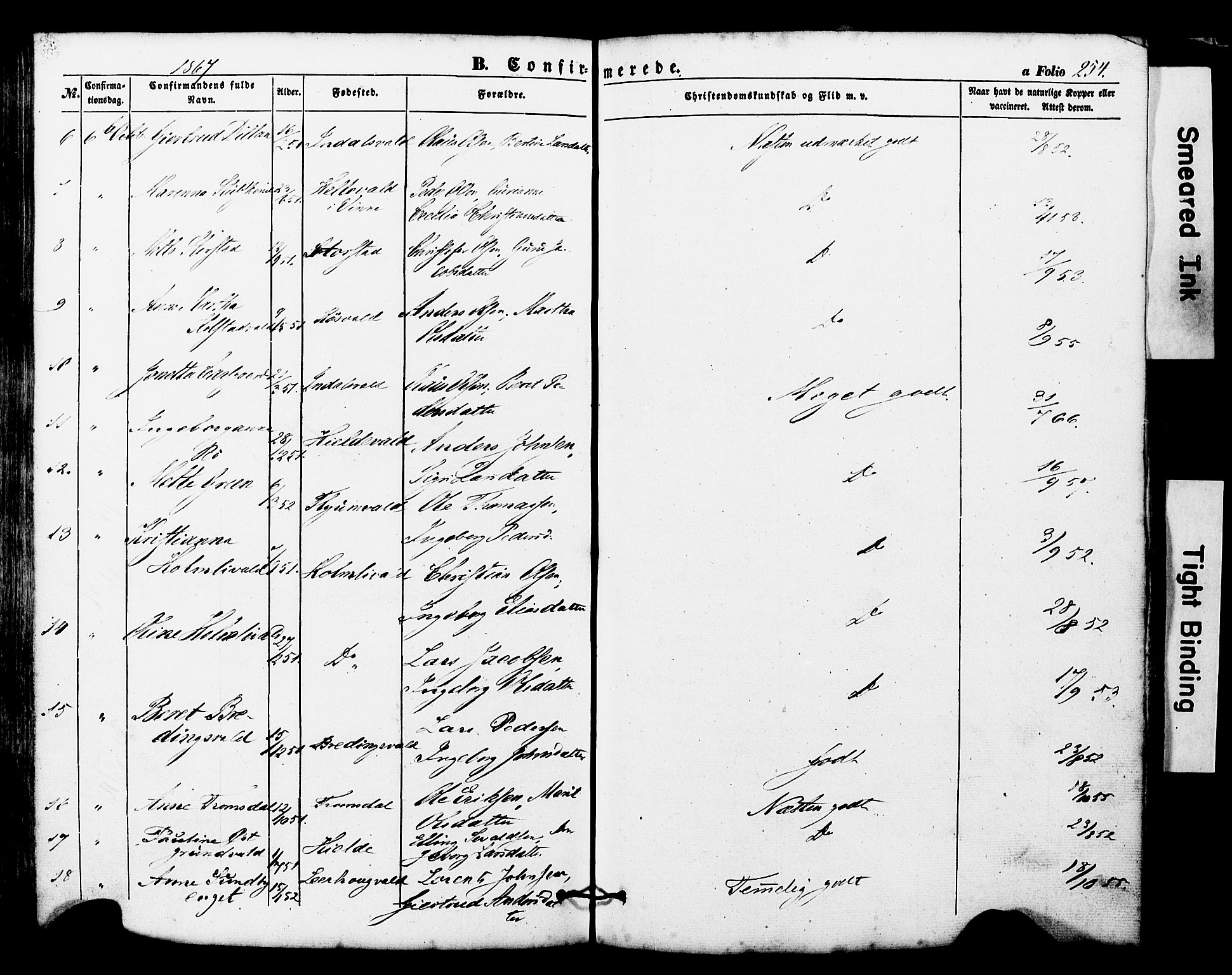 Ministerialprotokoller, klokkerbøker og fødselsregistre - Nord-Trøndelag, SAT/A-1458/724/L0268: Parish register (copy) no. 724C04, 1846-1878, p. 254