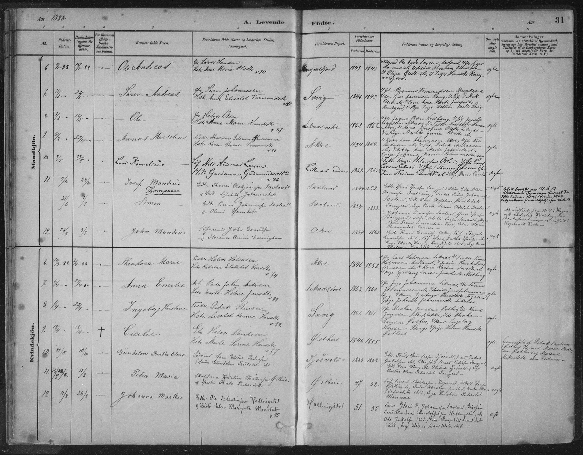 Kopervik sokneprestkontor, SAST/A-101850/H/Ha/Haa/L0004: Parish register (official) no. A 4, 1882-1905, p. 31