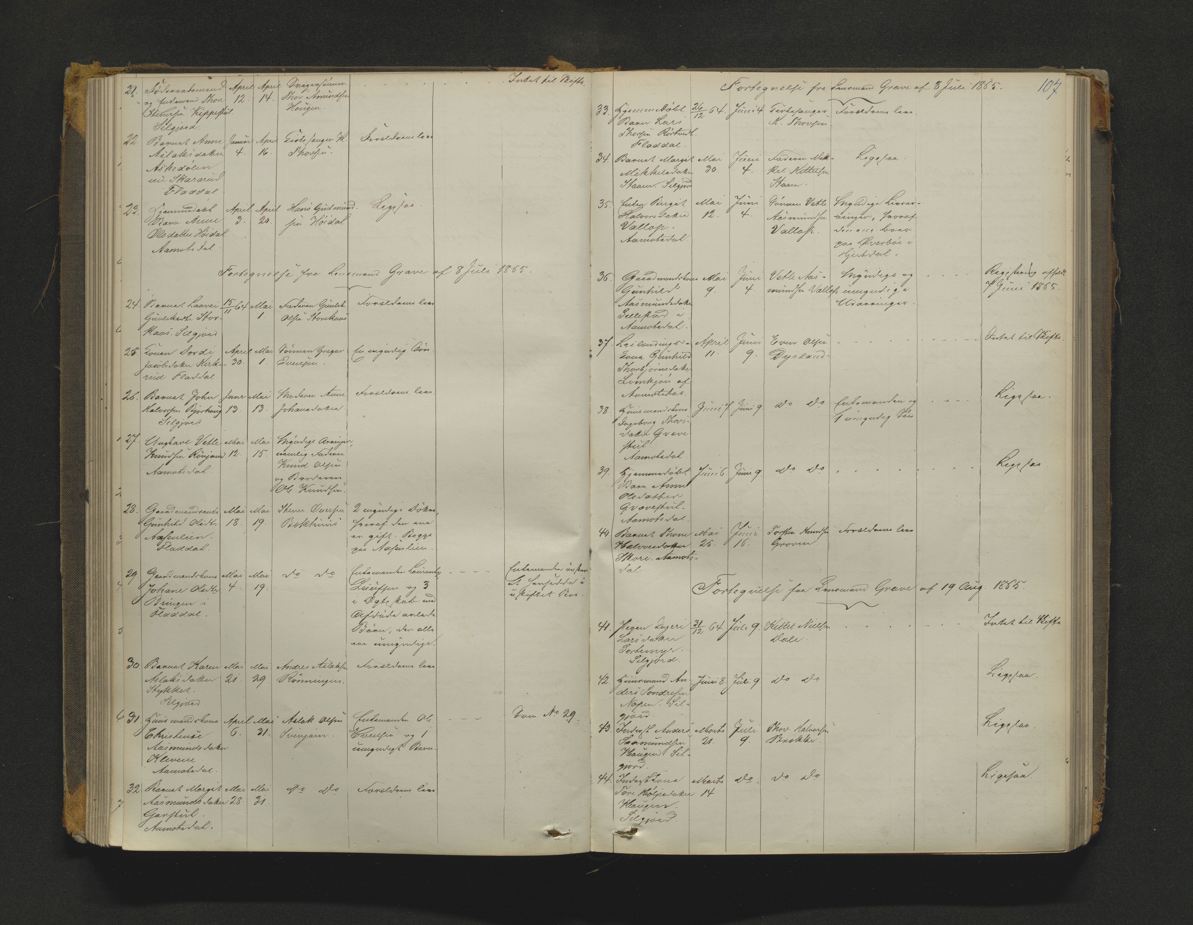 Øvre Telemark østfjelske sorenskriveri, AV/SAKO-A-213/H/Ha/Haa/L0001: Dødsanmeldelsesprotokoll, 1862-1899, p. 107