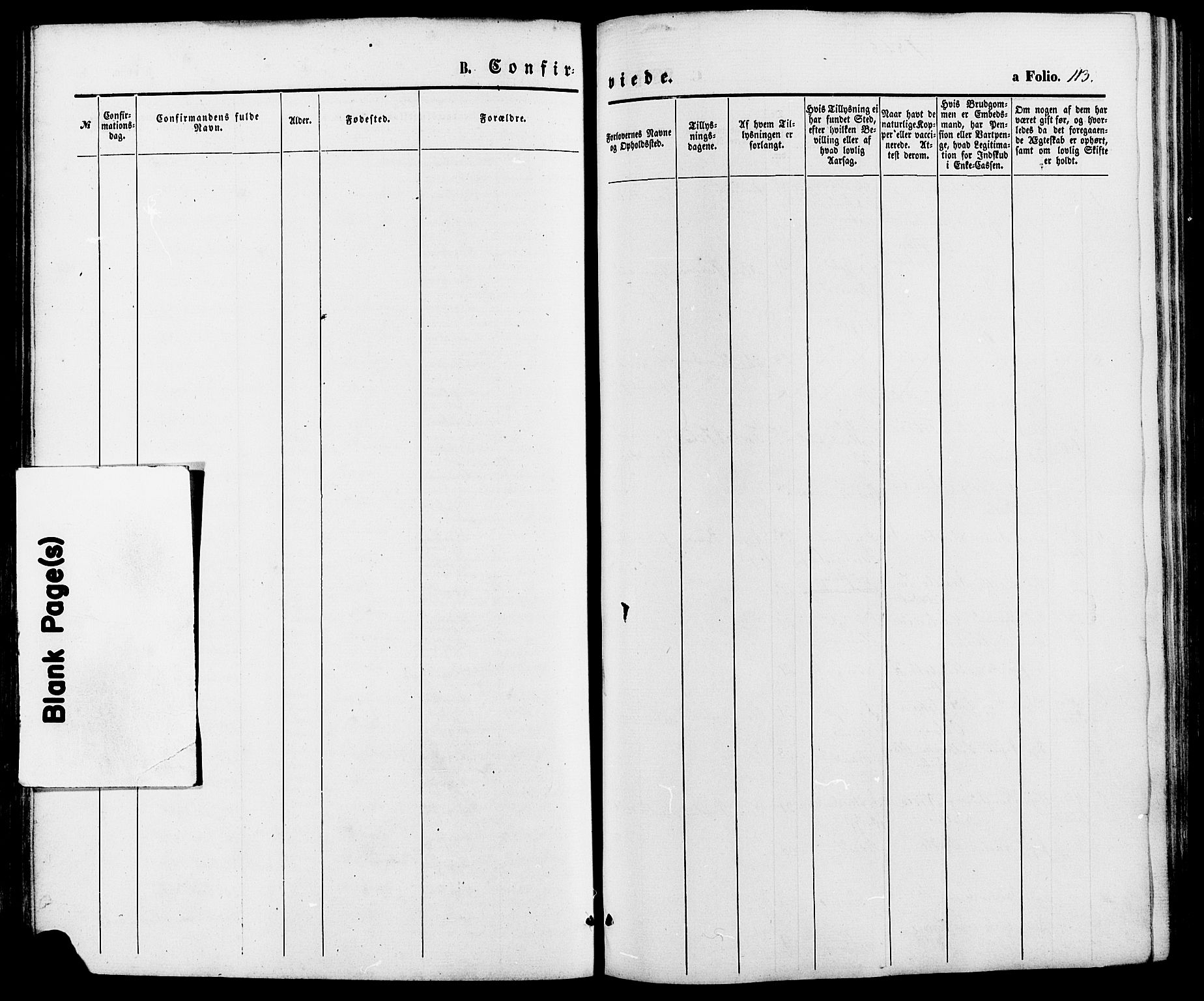 Oddernes sokneprestkontor, AV/SAK-1111-0033/F/Fa/Fab/L0001: Parish register (official) no. A 1, 1865-1884, p. 113