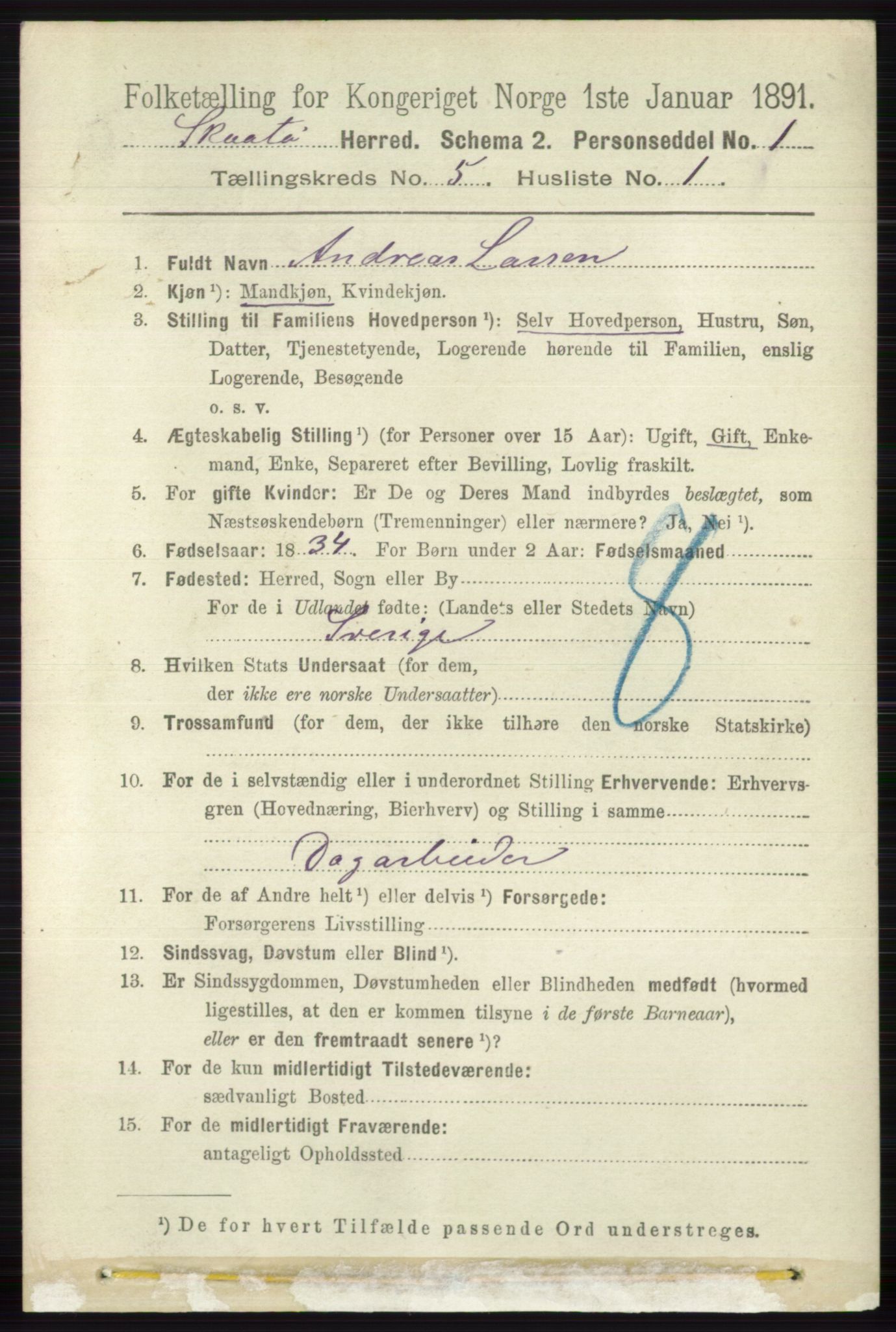 RA, 1891 census for 0815 Skåtøy, 1891, p. 1917