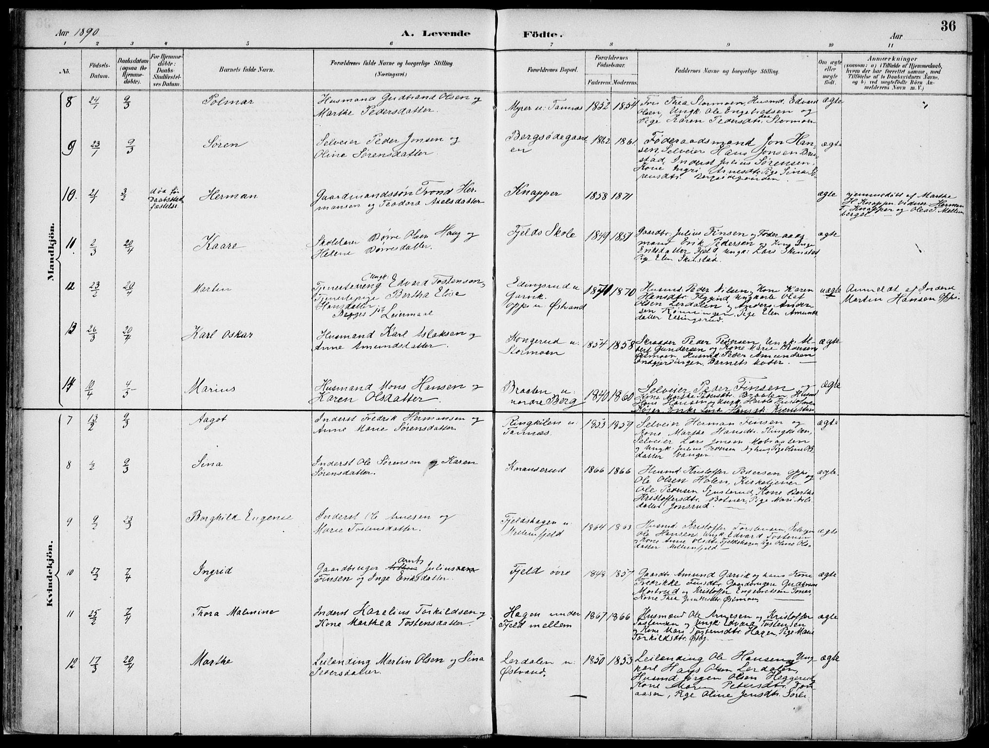 Nord-Odal prestekontor, AV/SAH-PREST-032/H/Ha/Haa/L0008: Parish register (official) no. 8, 1886-1901, p. 36