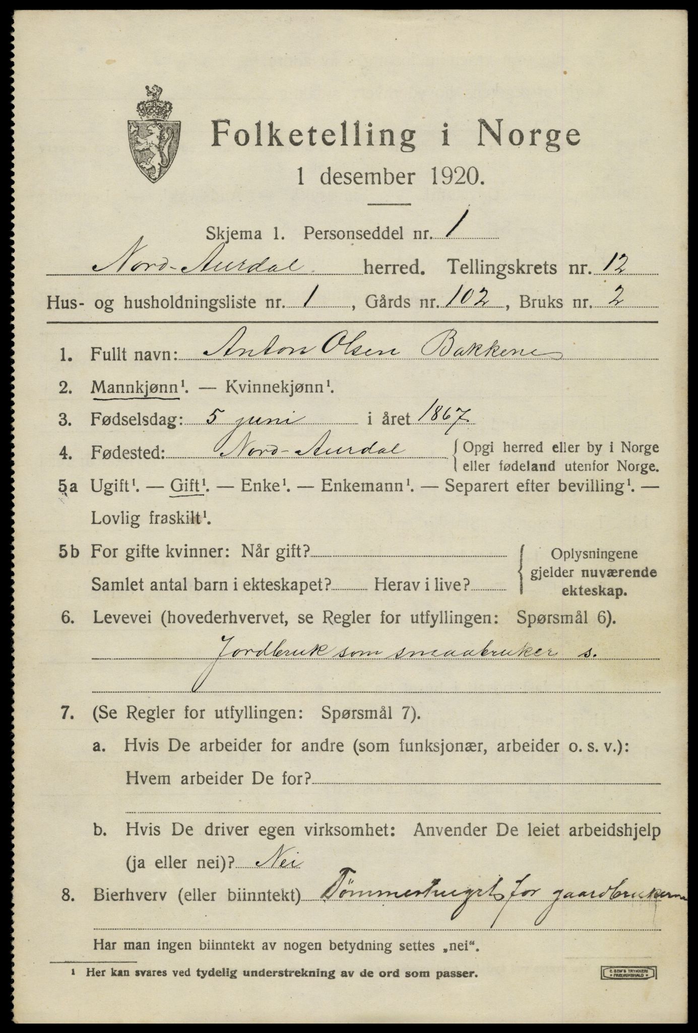 SAH, 1920 census for Nord-Aurdal, 1920, p. 9884