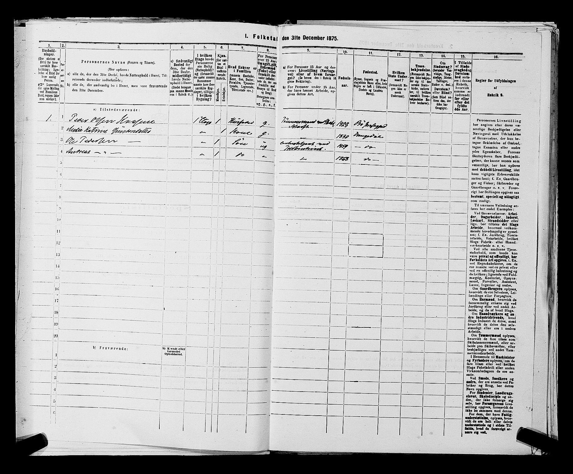 SAKO, 1875 census for 0801P Kragerø, 1875, p. 1062