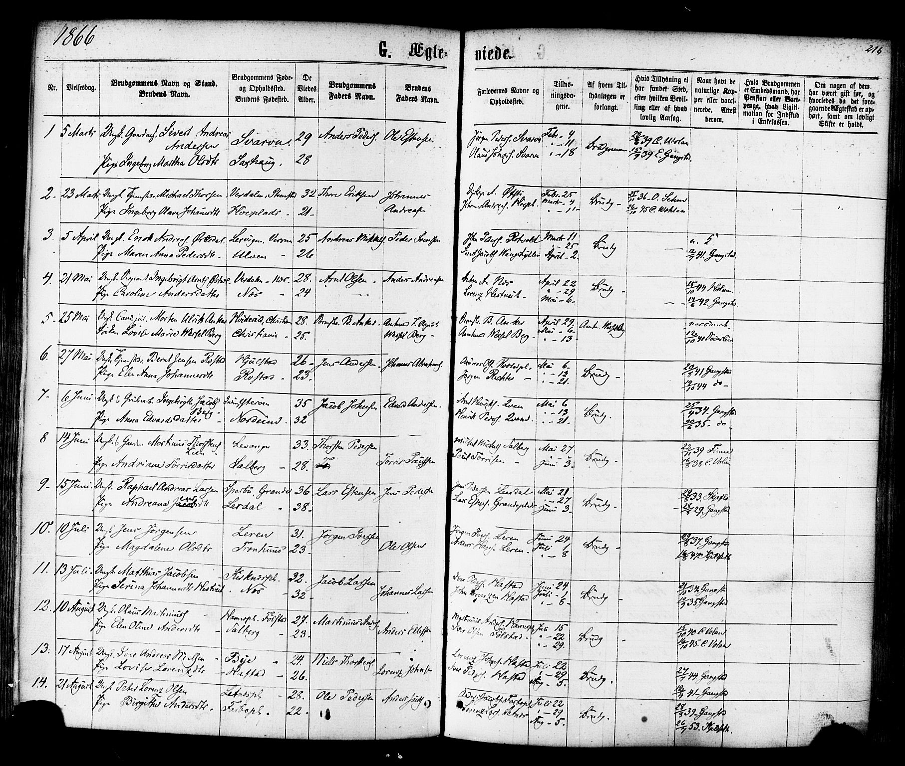 Ministerialprotokoller, klokkerbøker og fødselsregistre - Nord-Trøndelag, SAT/A-1458/730/L0284: Parish register (official) no. 730A09, 1866-1878, p. 216