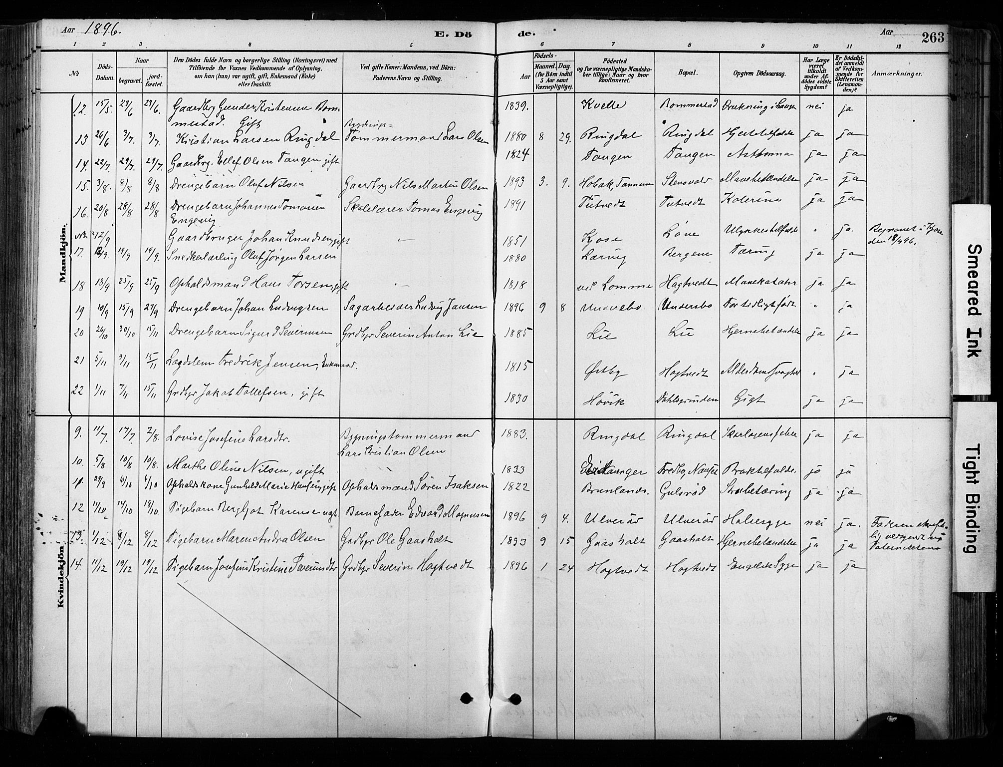 Hedrum kirkebøker, AV/SAKO-A-344/F/Fa/L0009: Parish register (official) no. I 9, 1881-1903, p. 263