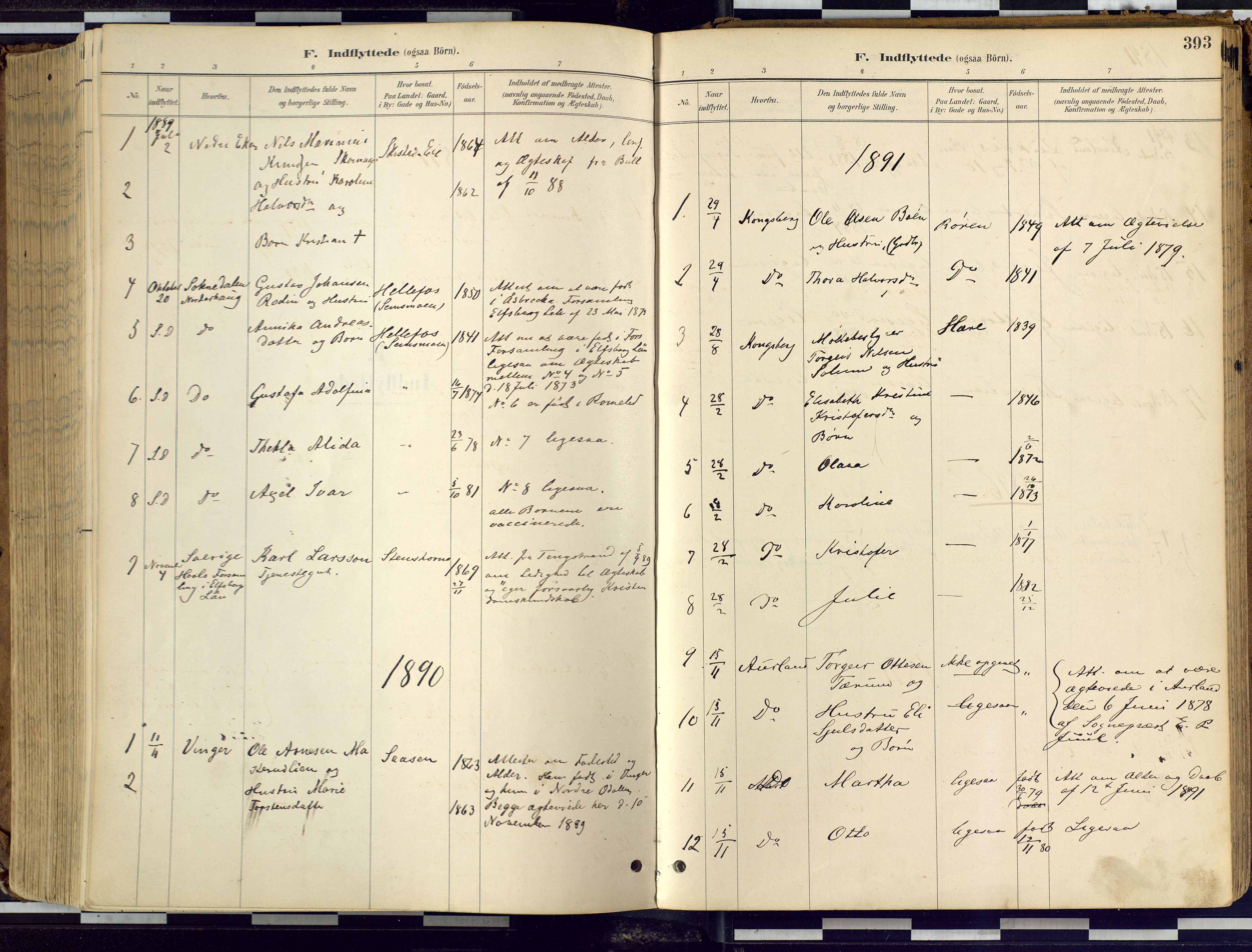 Eiker kirkebøker, SAKO/A-4/F/Fb/L0002: Parish register (official) no. II 2, 1889-1896, p. 393