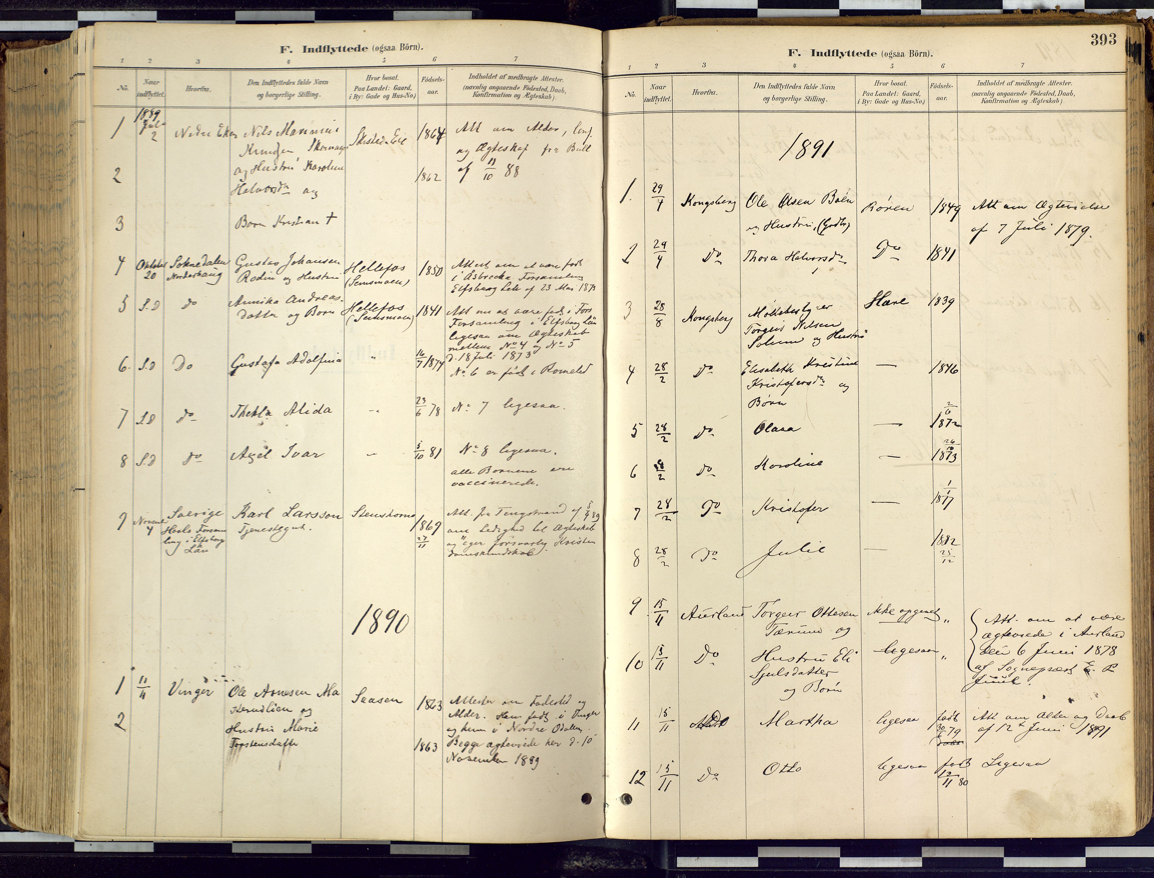 Eiker kirkebøker, AV/SAKO-A-4/F/Fb/L0002: Parish register (official) no. II 2, 1889-1896, p. 393