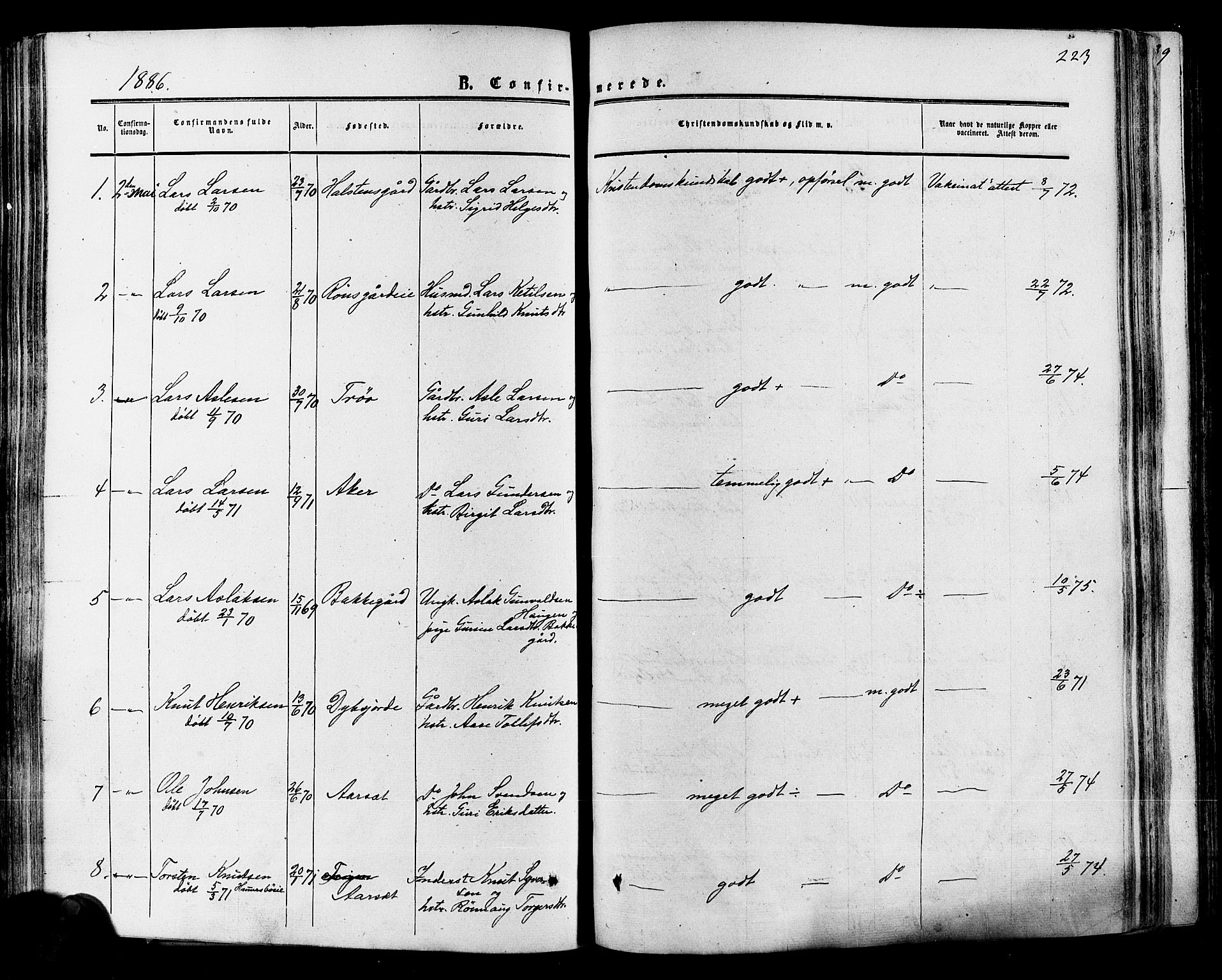 Hol kirkebøker, SAKO/A-227/F/Fa/L0002: Parish register (official) no. I 2, 1870-1886, p. 223