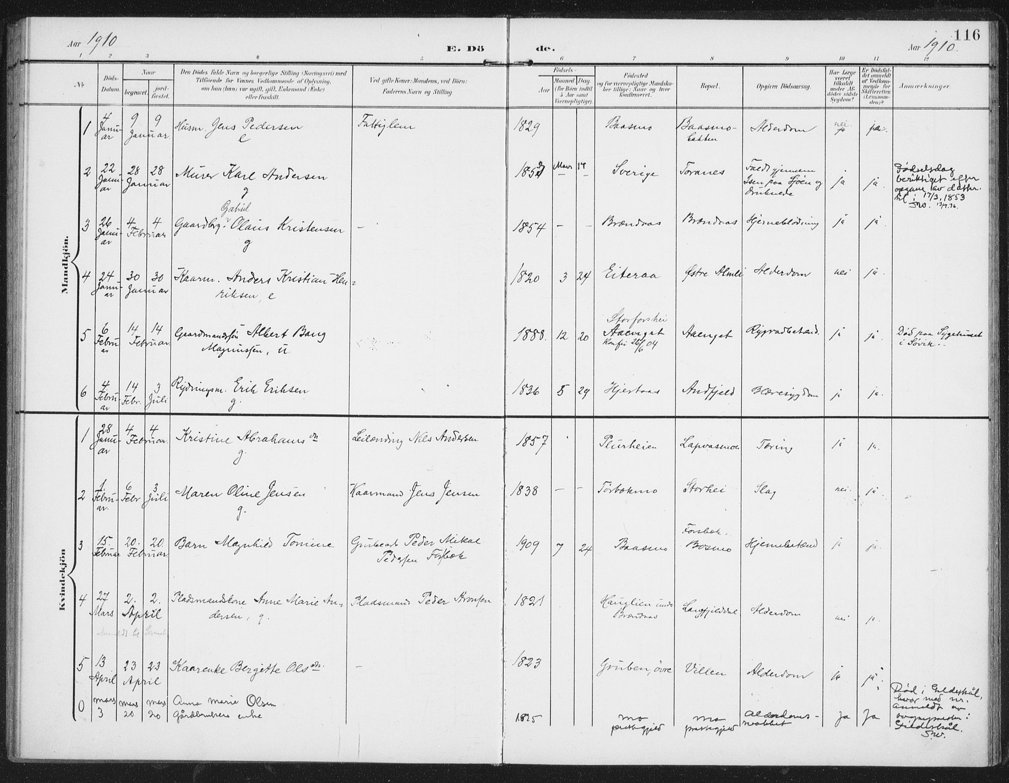 Ministerialprotokoller, klokkerbøker og fødselsregistre - Nordland, AV/SAT-A-1459/827/L0403: Parish register (official) no. 827A15, 1903-1912, p. 116