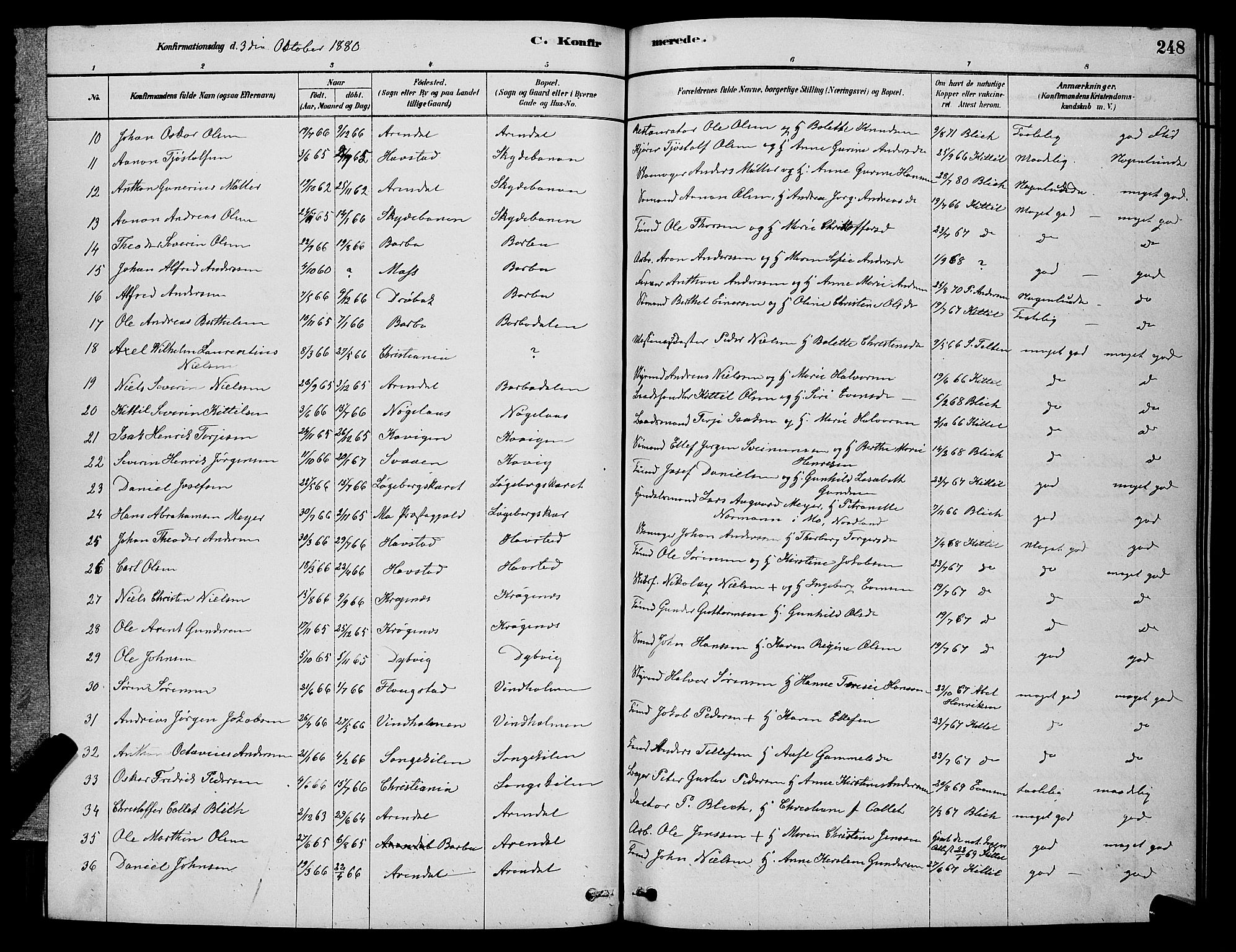 Barbu sokneprestkontor, AV/SAK-1111-0003/F/Fb/L0001: Parish register (copy) no. B 1, 1878-1890, p. 248